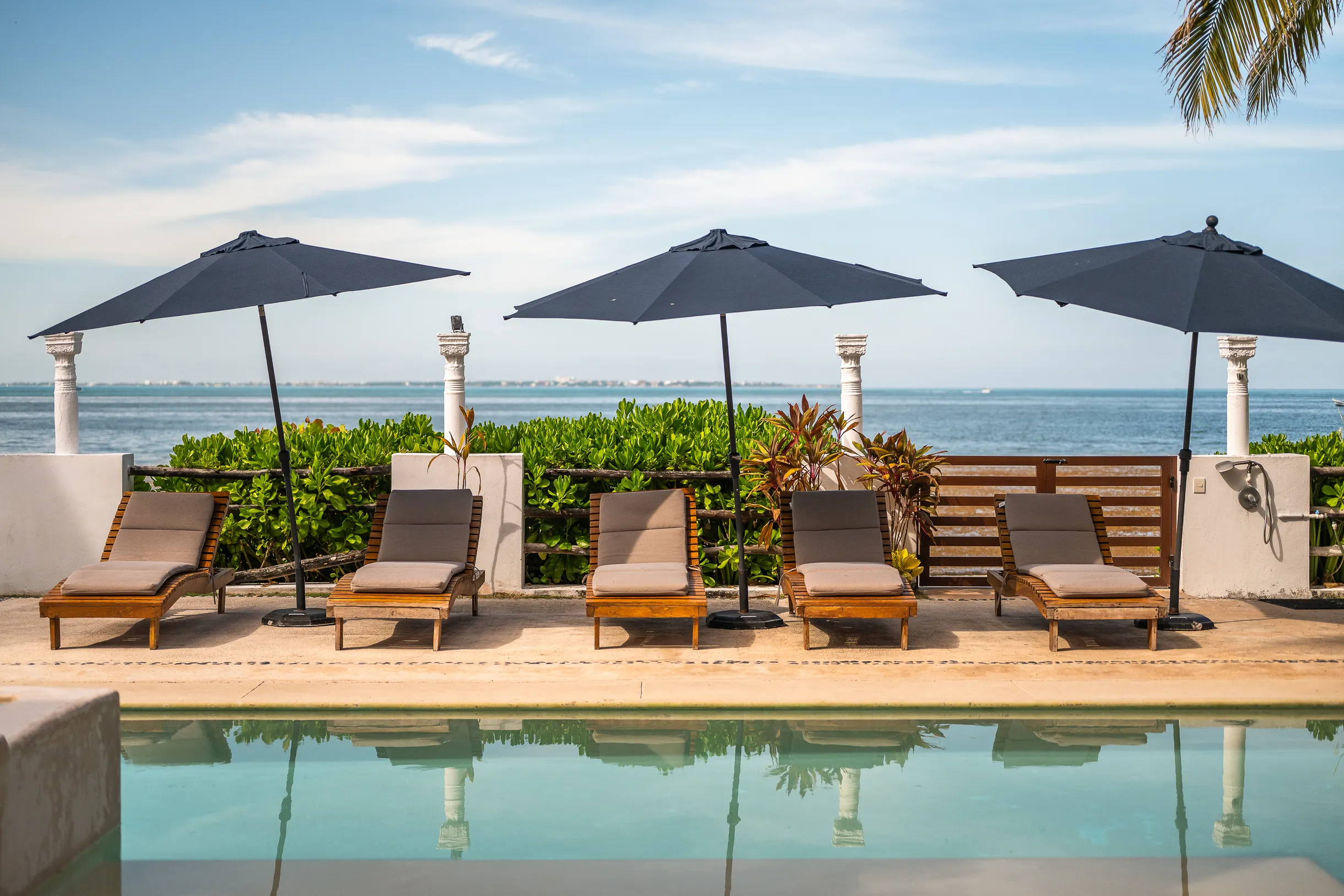 Wander Cancun Palms #84