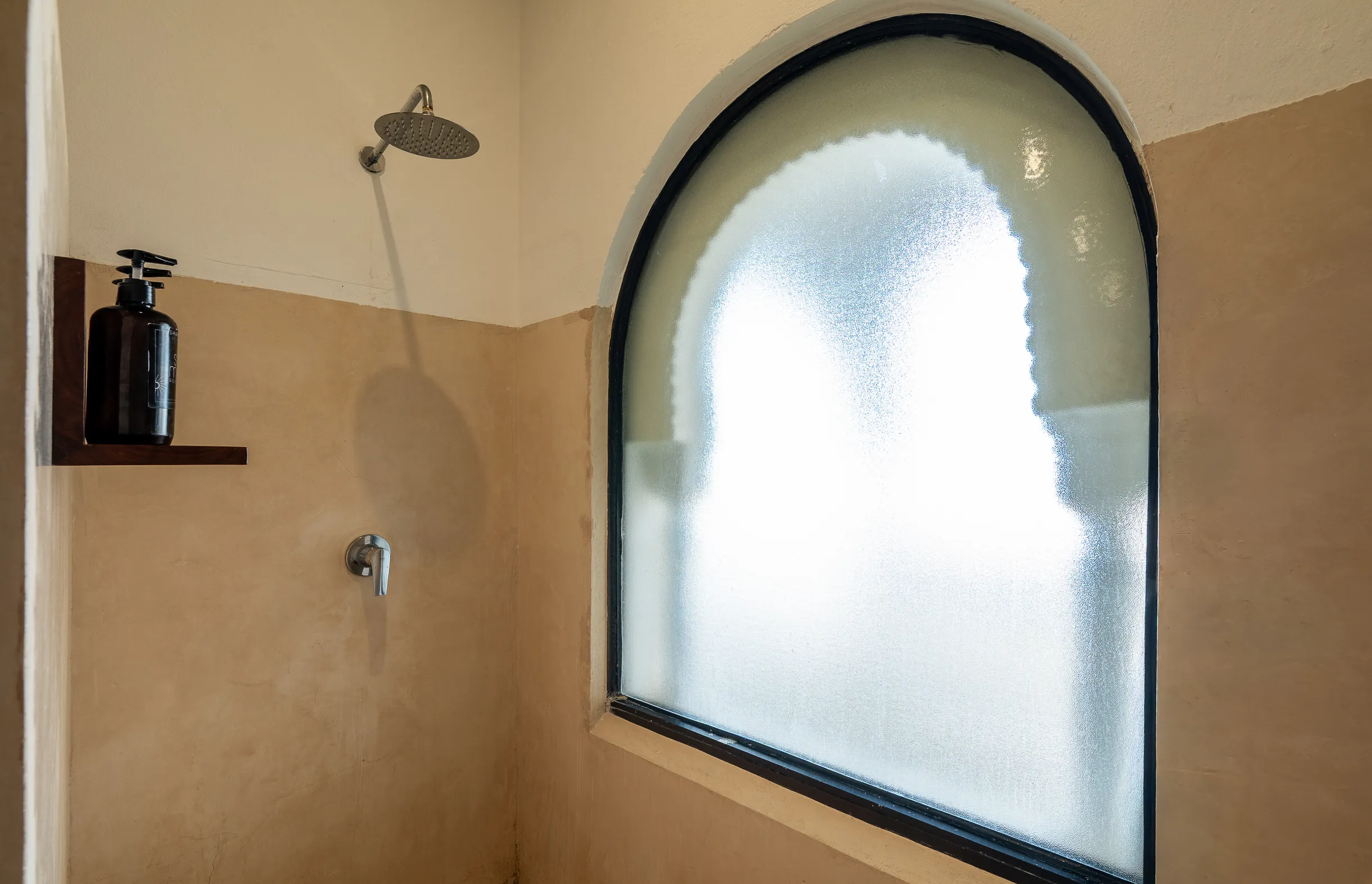 Wander Cancun Palms #76