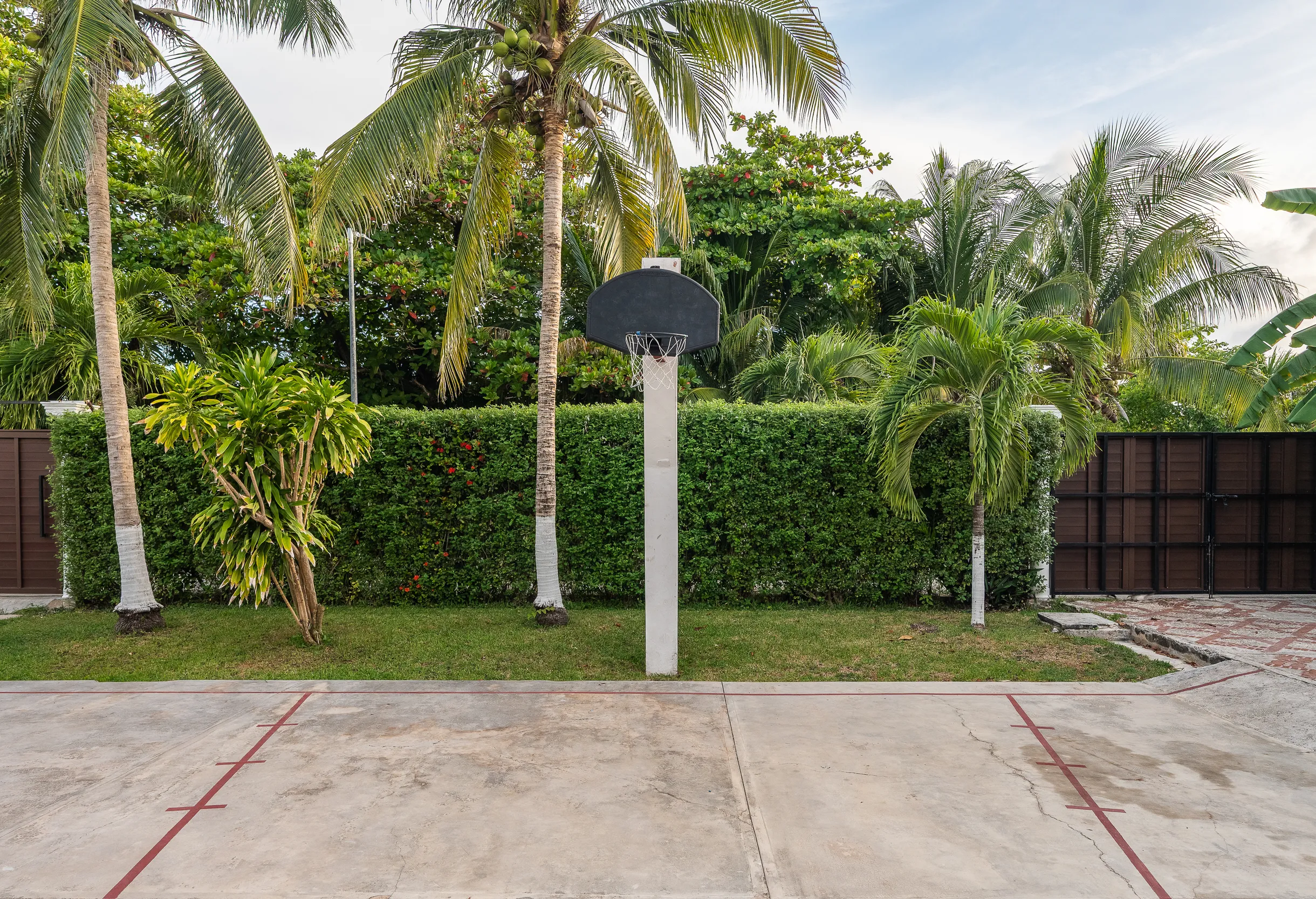 Wander Cancun Palms #72