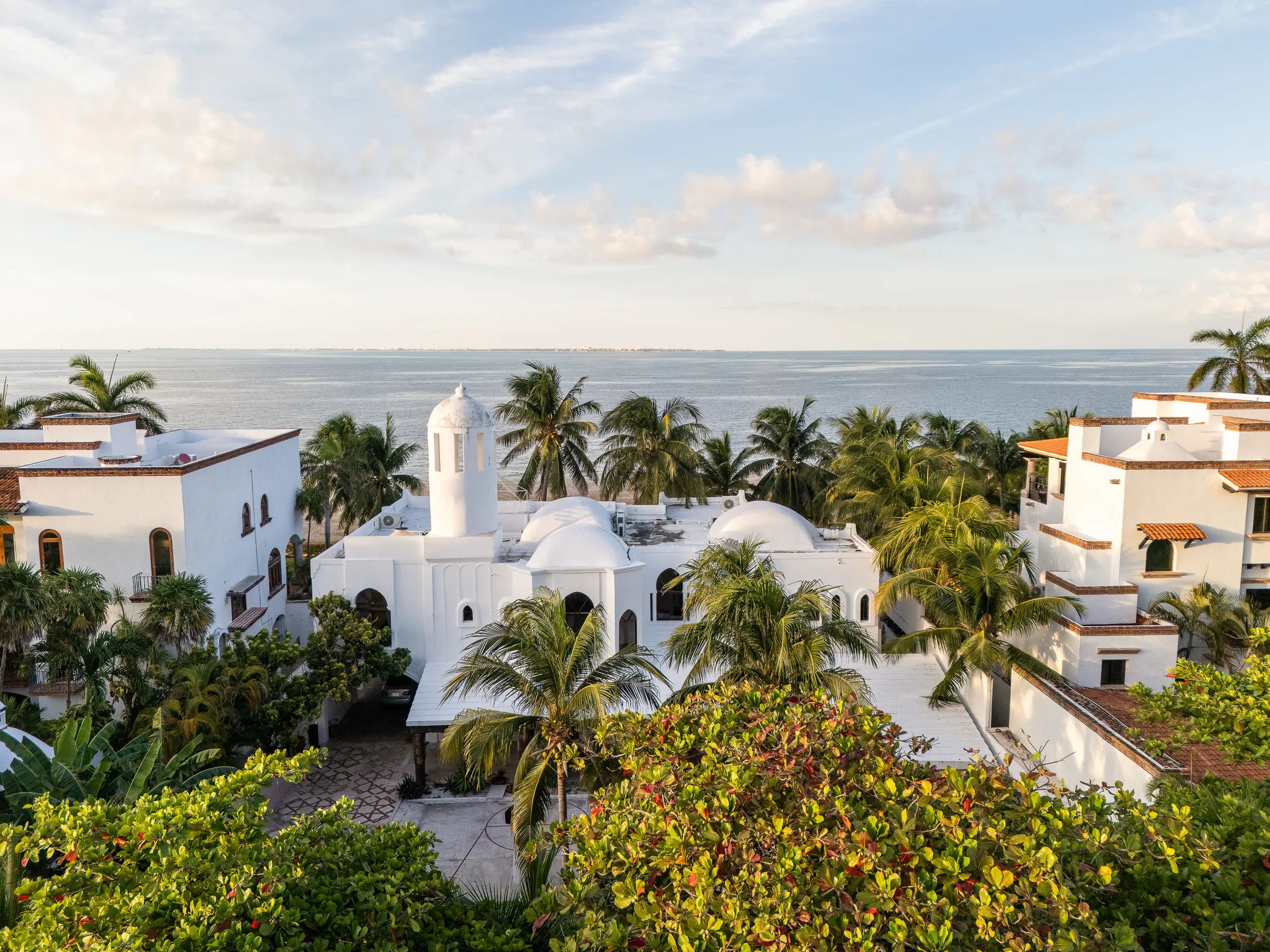 Wander Cancun Palms #83
