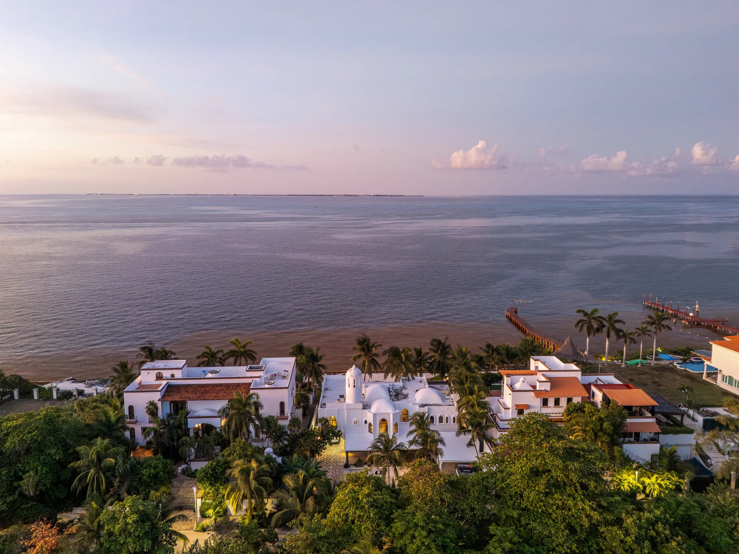 Wander Cancun Palms #65