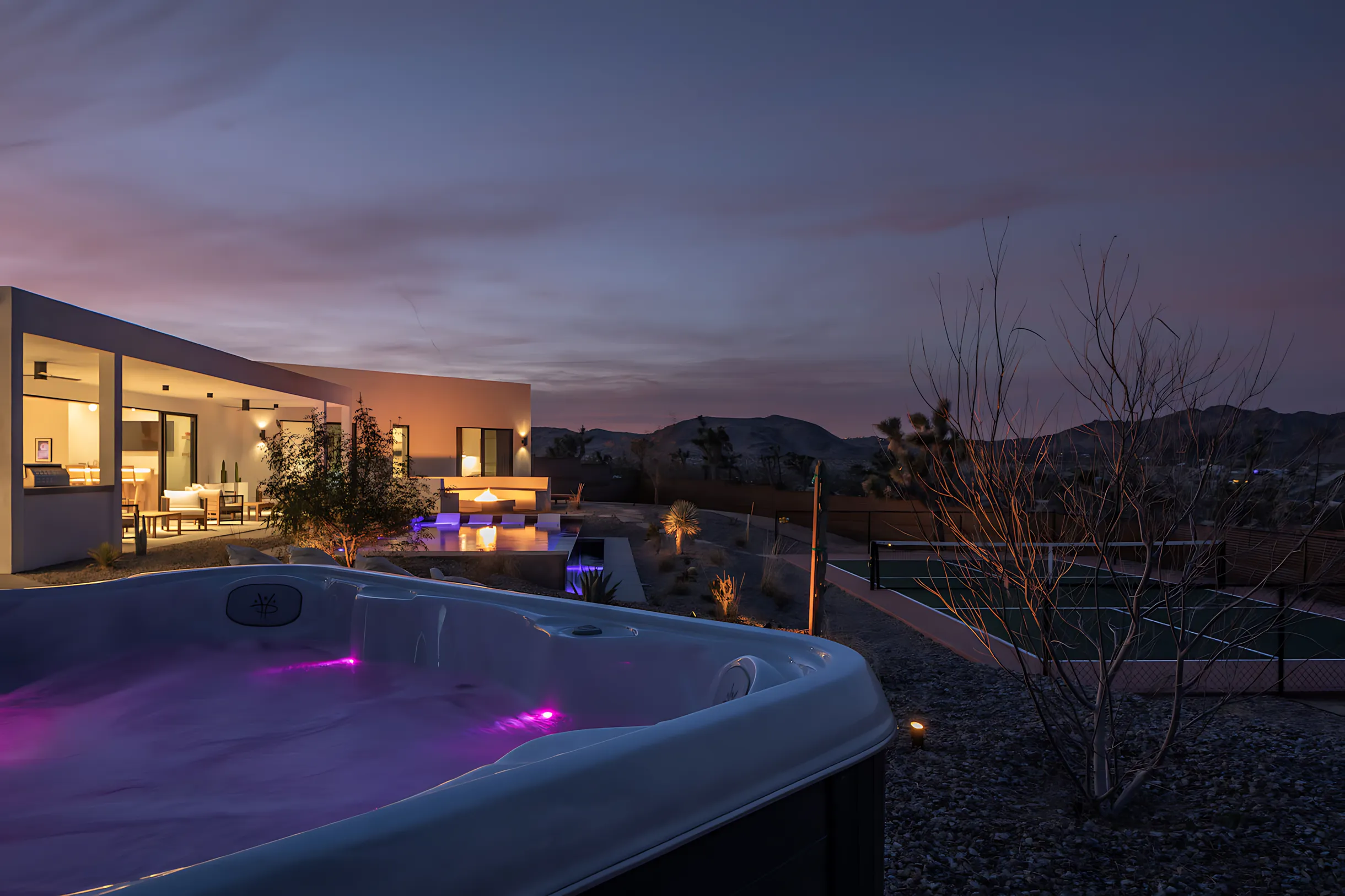 Wander Joshua Tree Jupiter #19