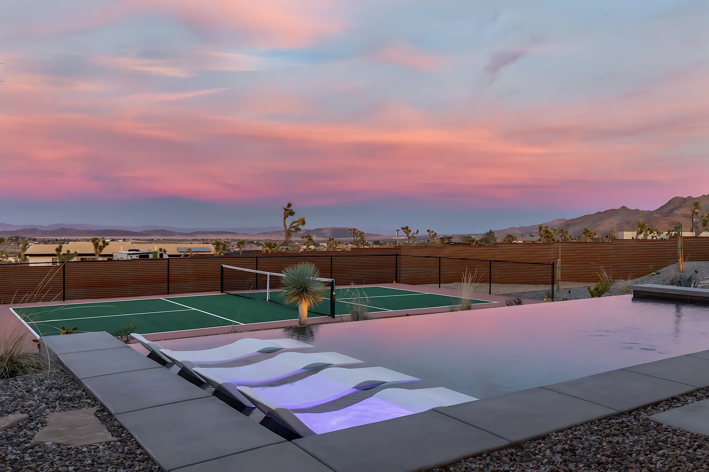 Wander Joshua Tree Jupiter #29