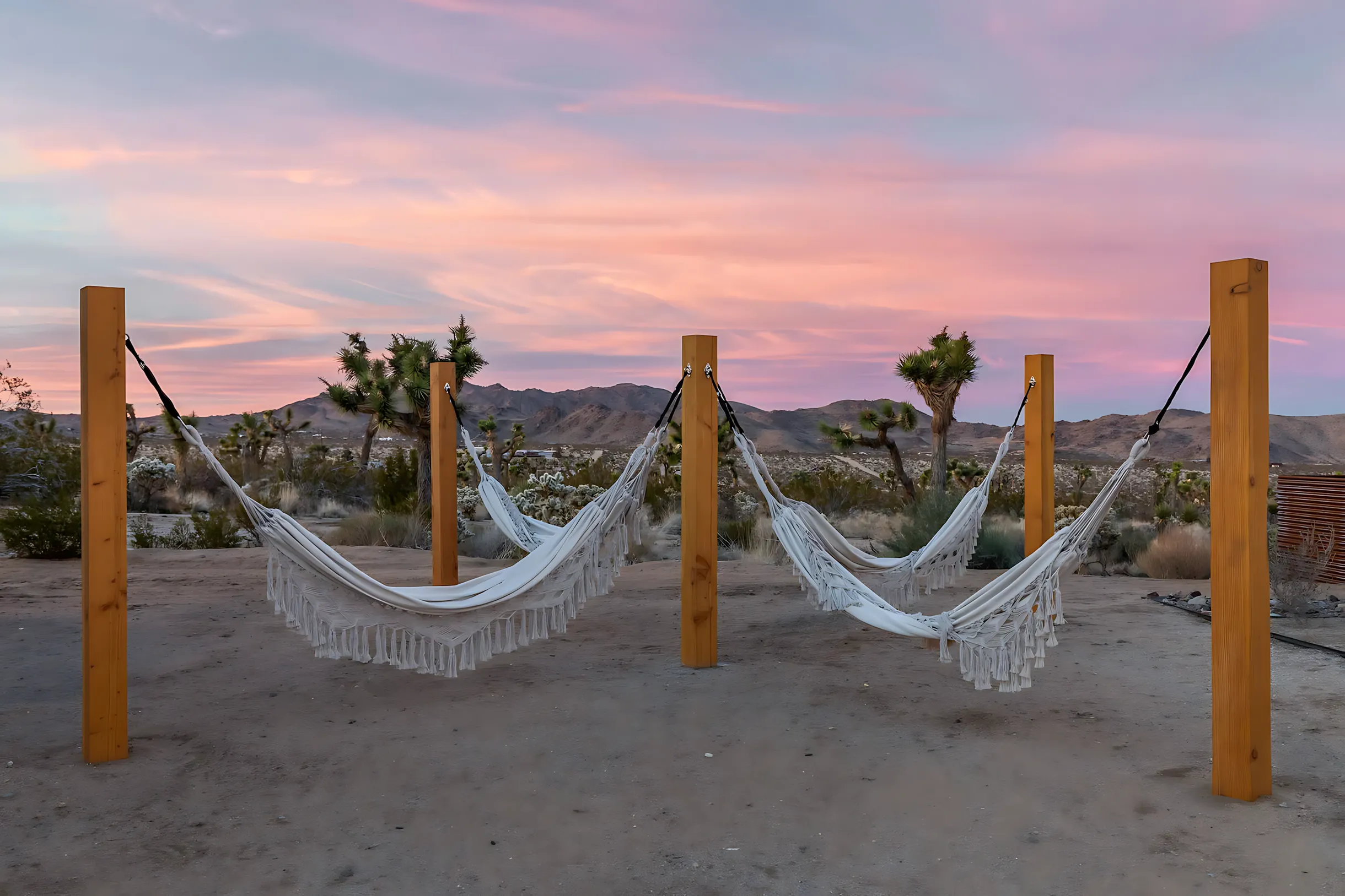 Wander Joshua Tree Jupiter #20