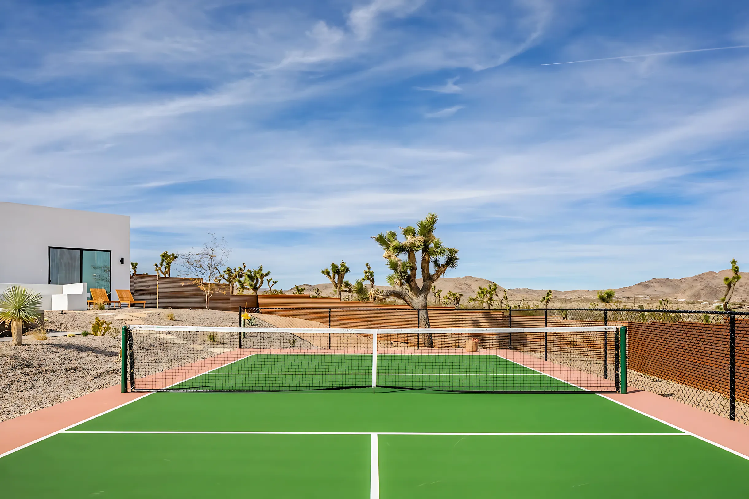 Wander Joshua Tree Jupiter #43