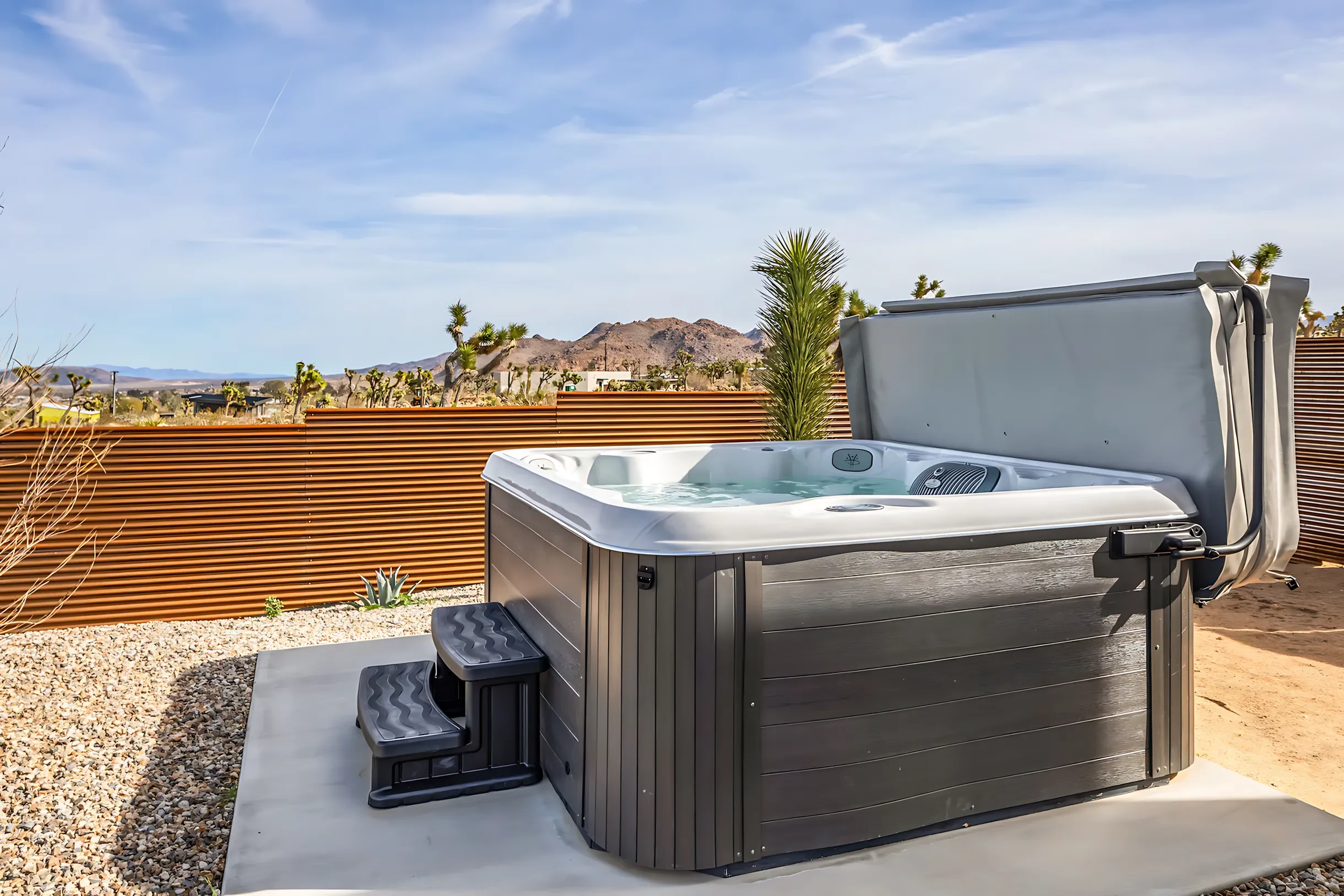 Wander Joshua Tree Jupiter #45