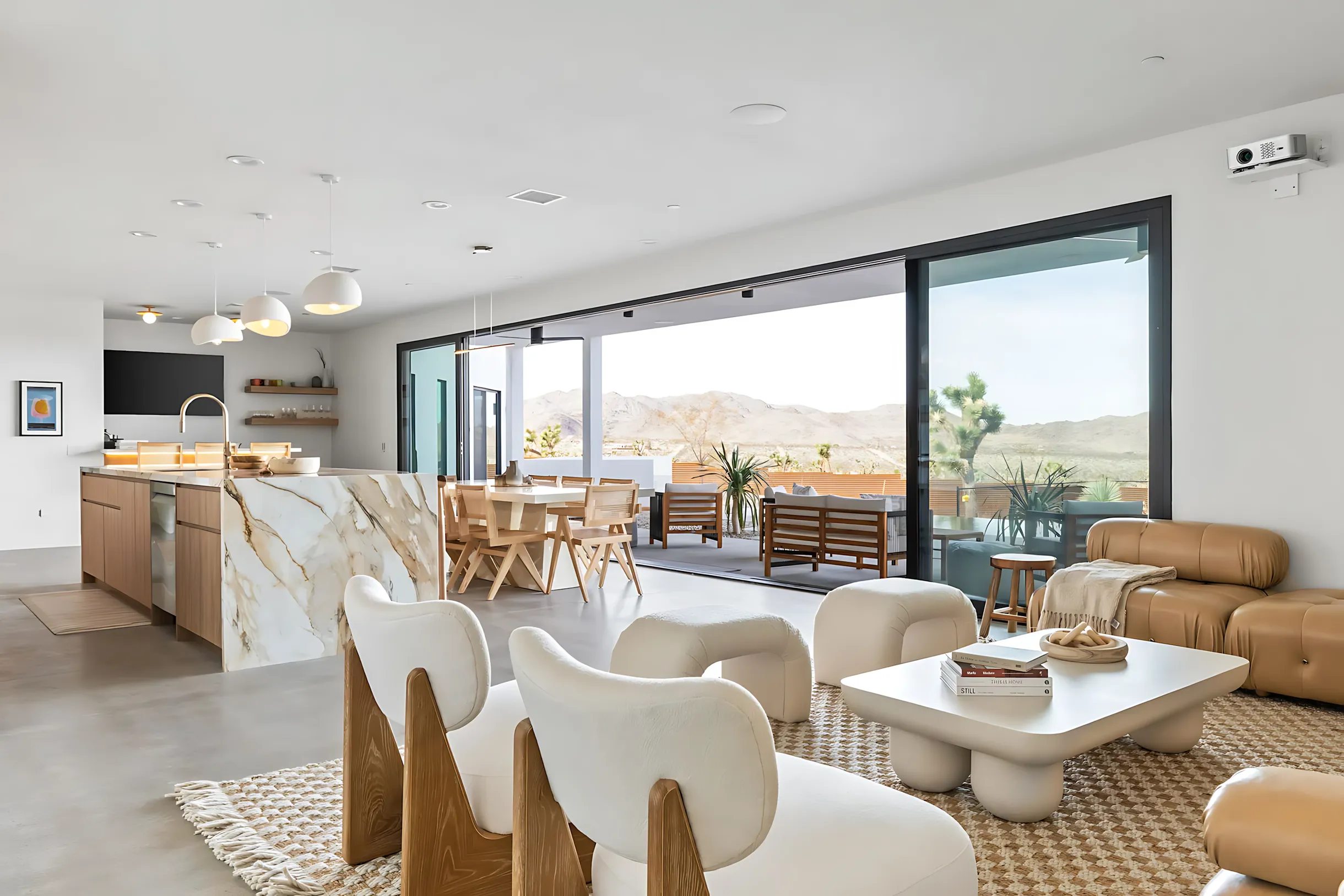 Wander Joshua Tree Jupiter #16