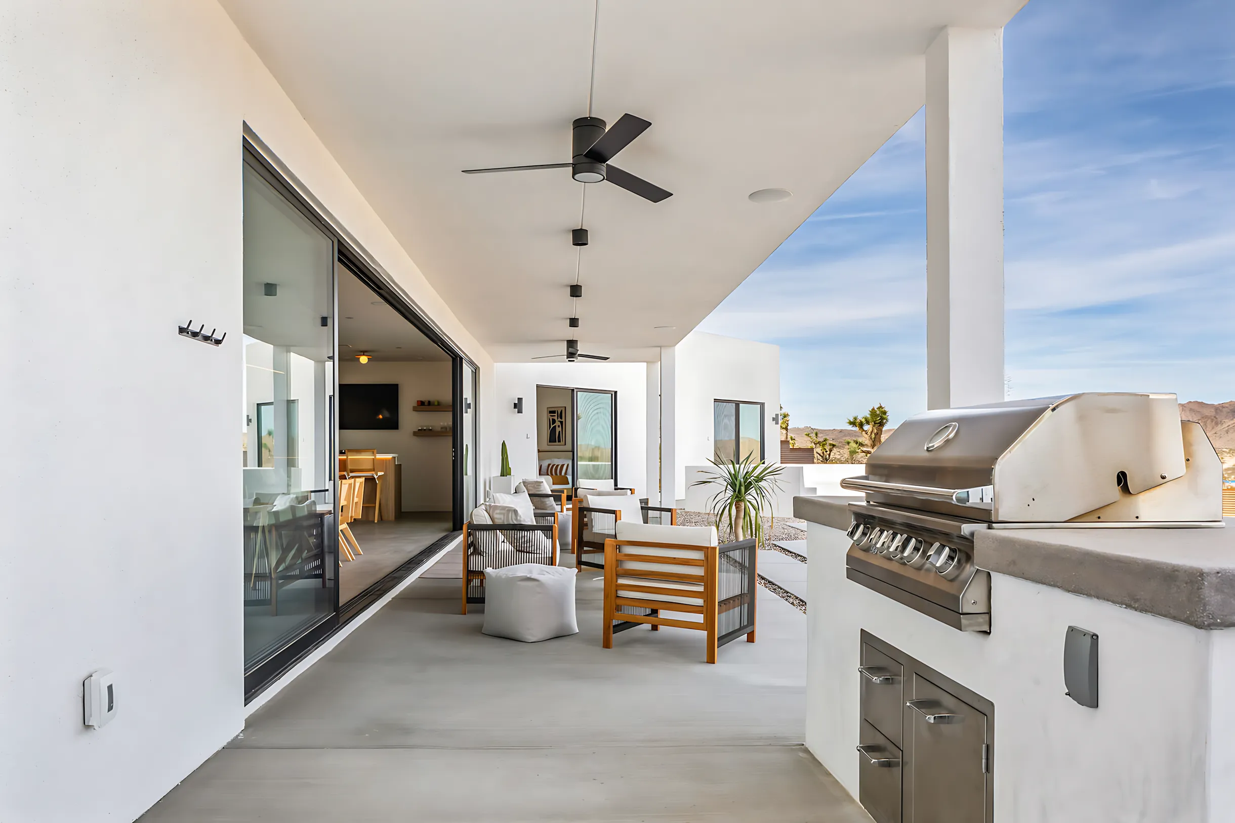 Wander Joshua Tree Jupiter #33