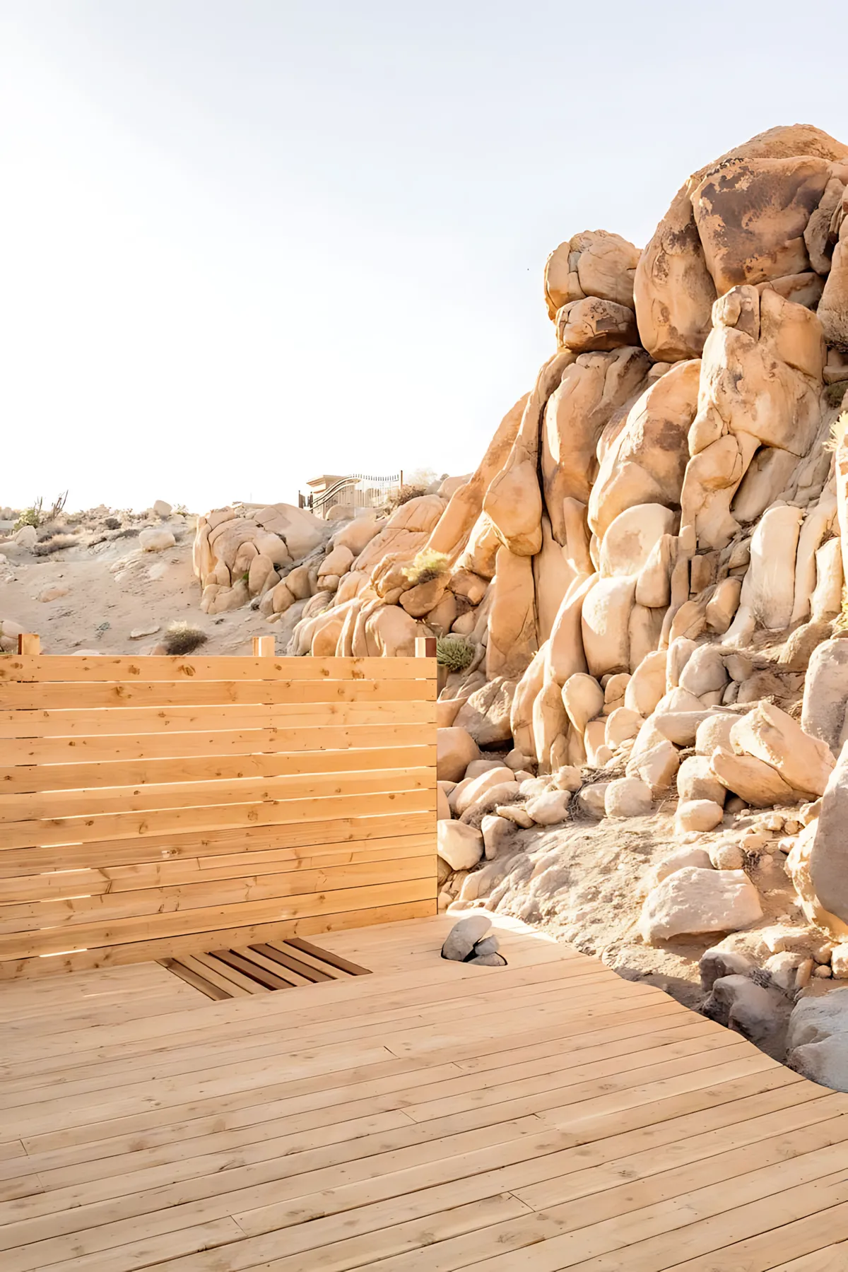 Wander Joshua Tree Estate #38