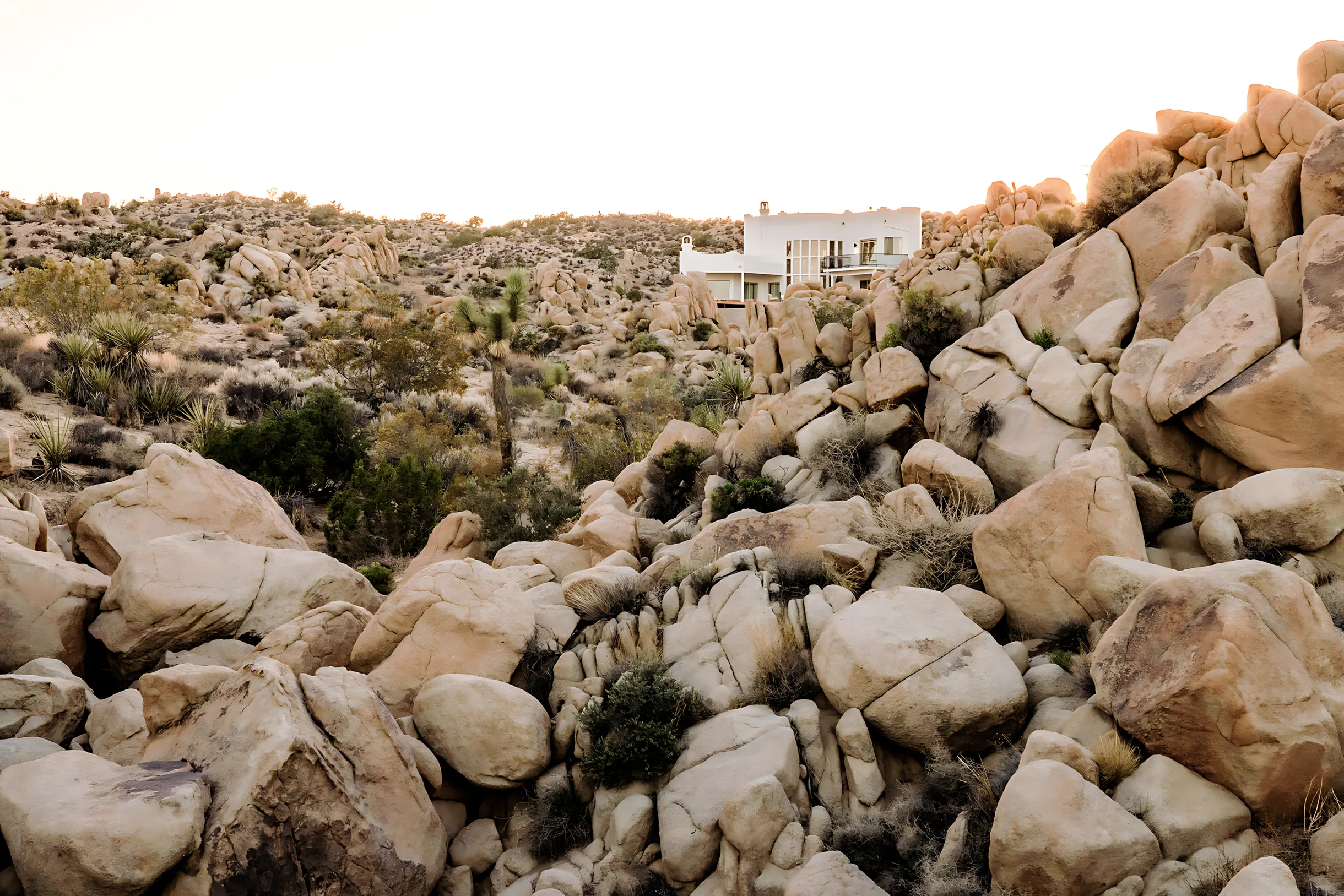 Wander Joshua Tree Estate #39