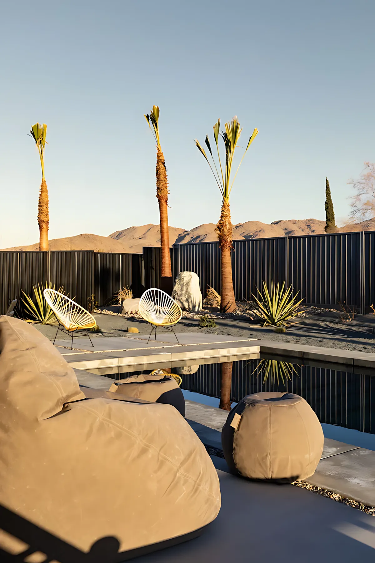 Wander Joshua Tree Sundance #39