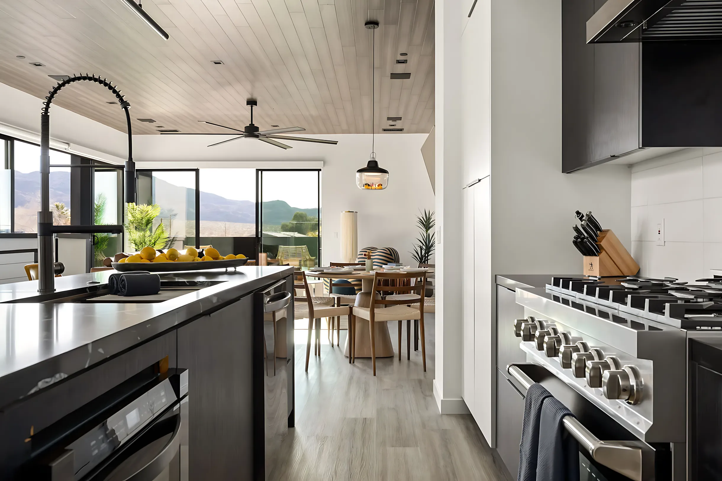 Wander Joshua Tree Sundance #30