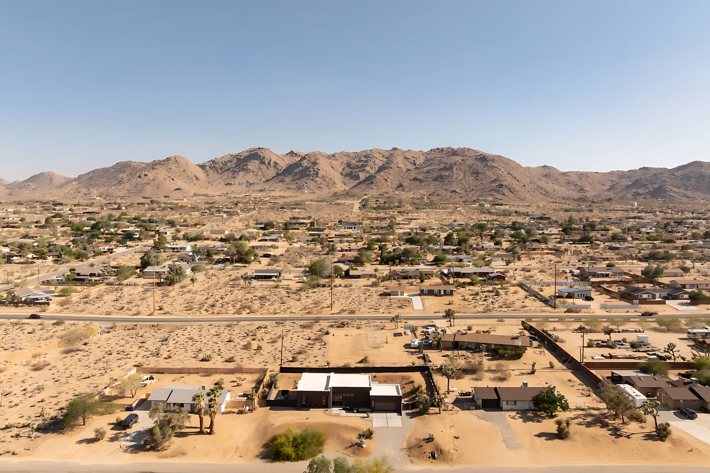 Wander Joshua Tree Desert #29