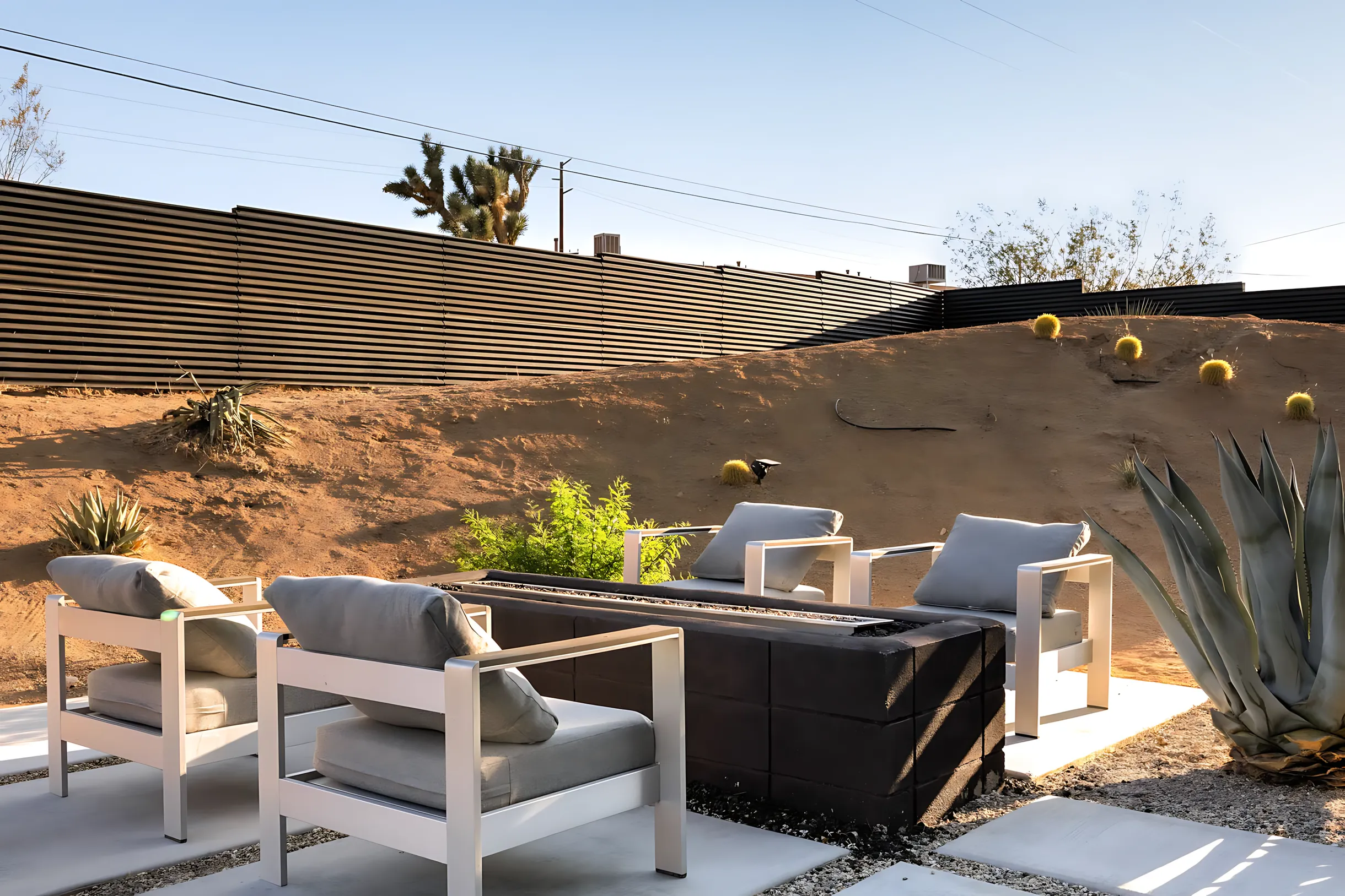 Wander Joshua Tree Desert #14