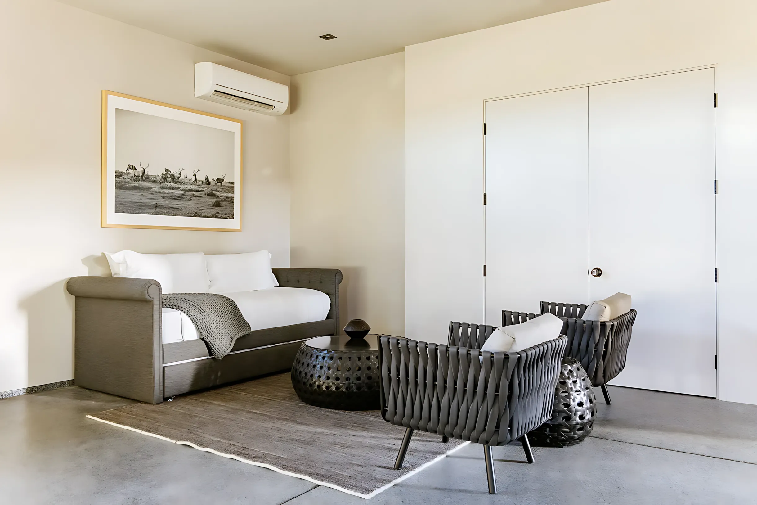 Wander Joshua Tree Vanguard #38