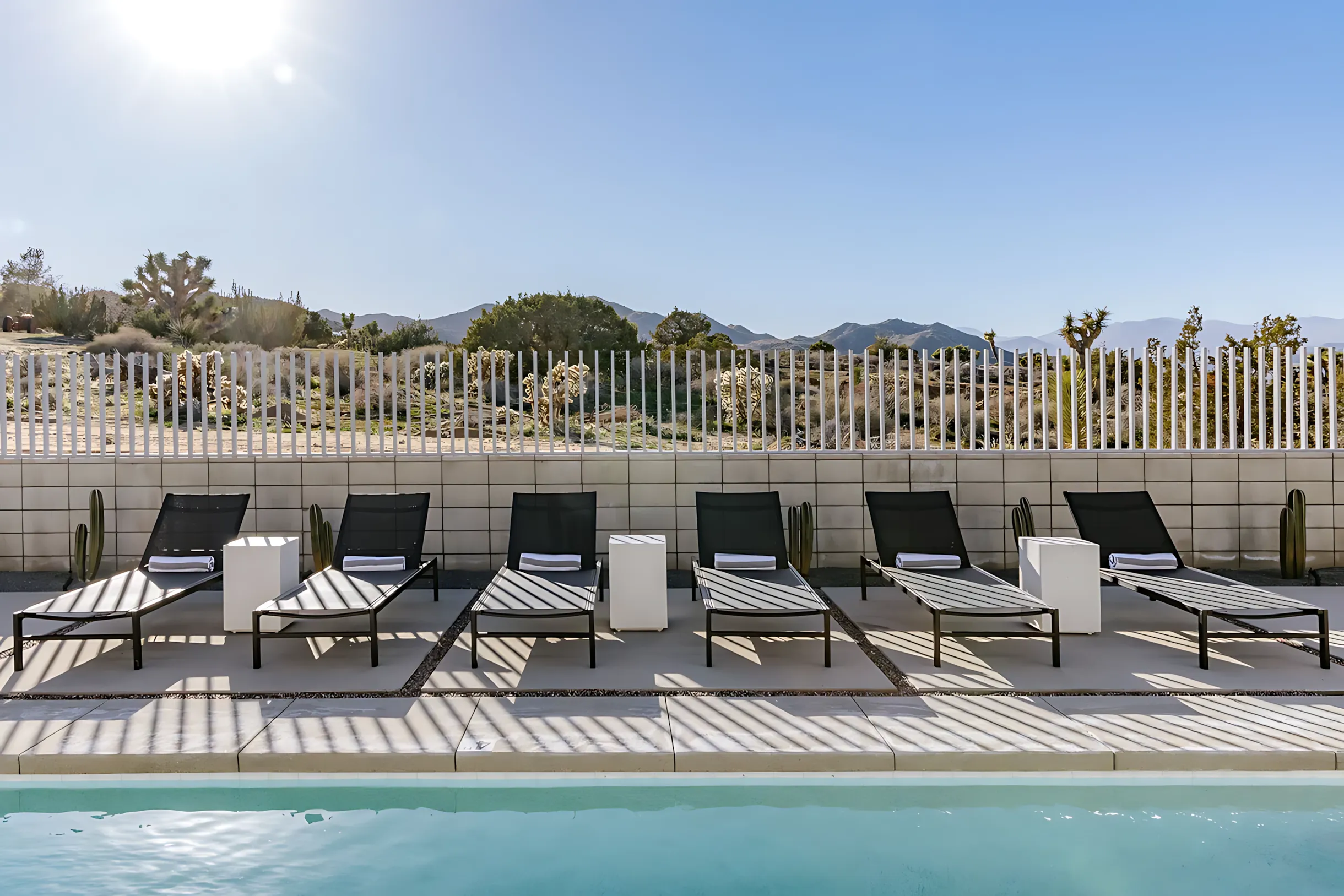 Wander Joshua Tree Vanguard #76