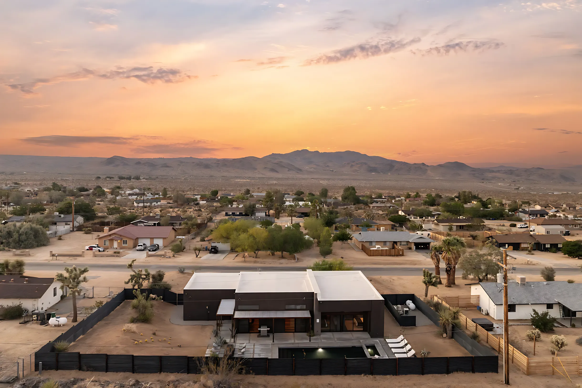 Wander Joshua Tree Desert #25