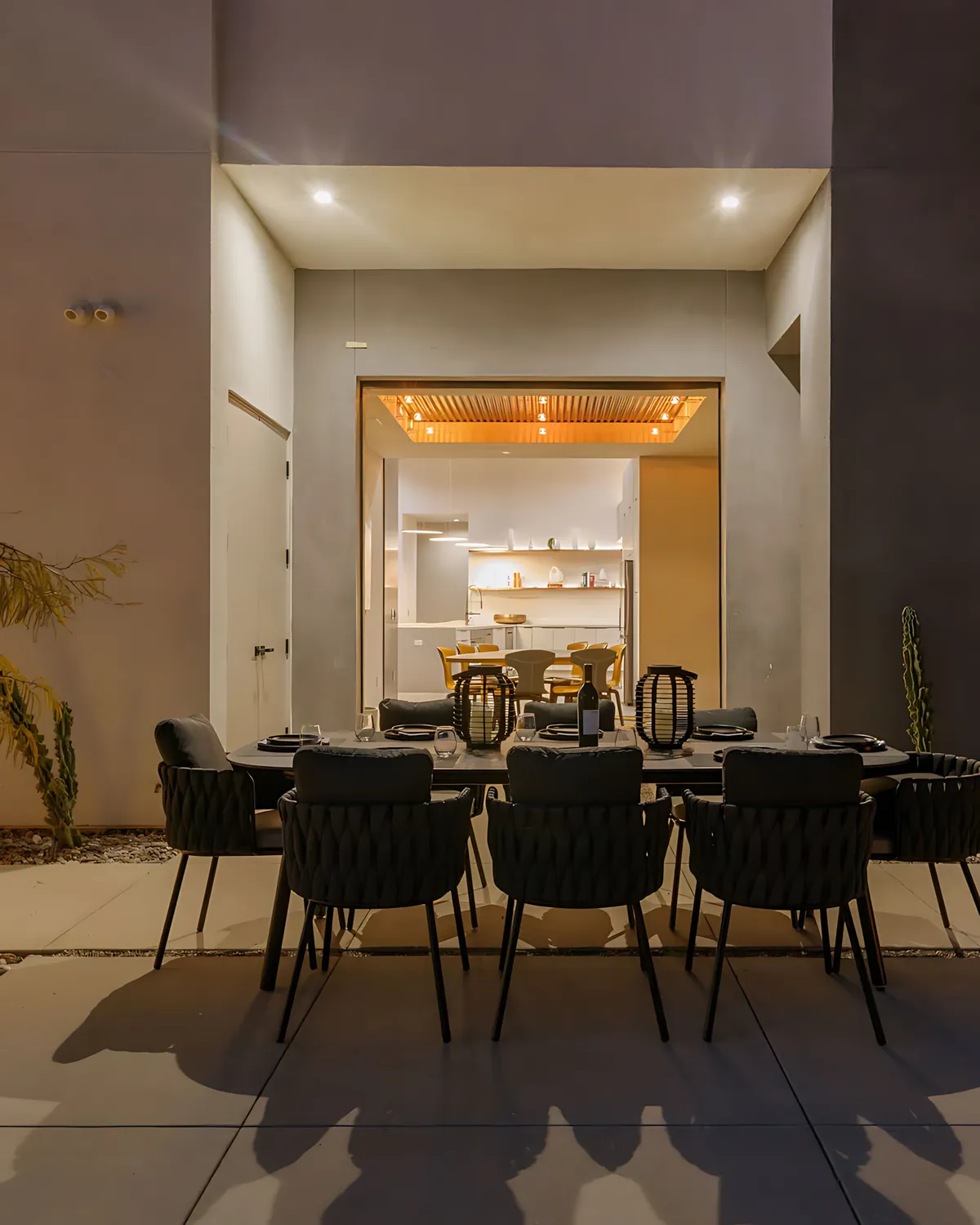 Wander Joshua Tree Vanguard #30