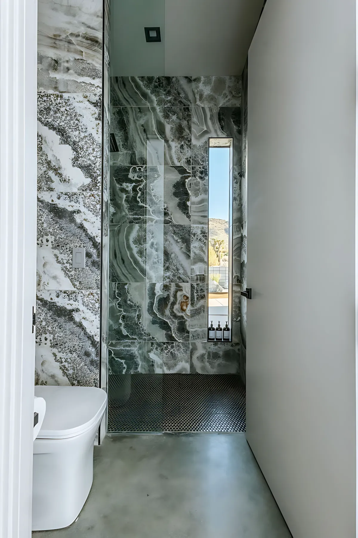 Wander Joshua Tree Vanguard #31