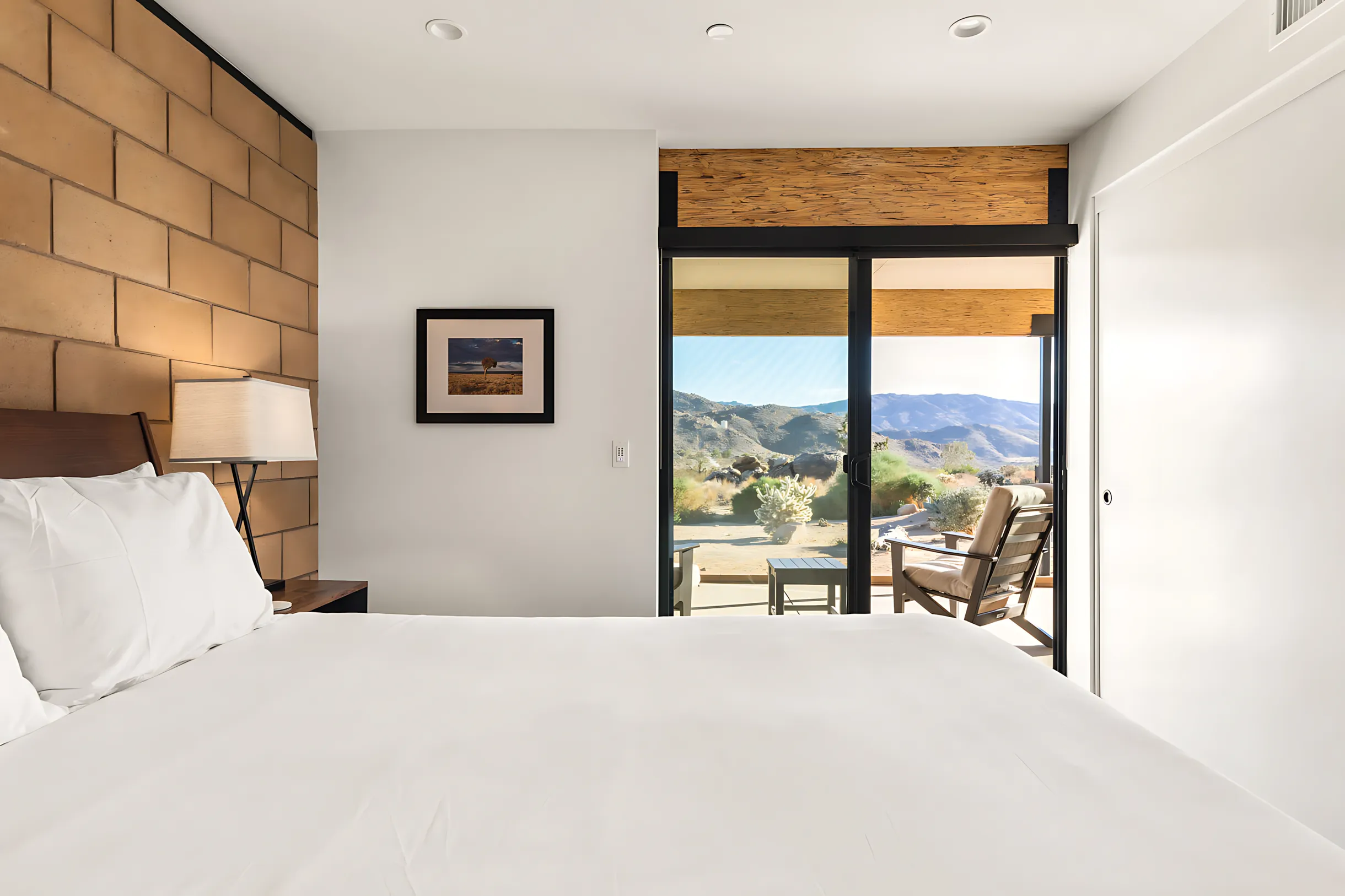 Wander Joshua Tree Rocks #17