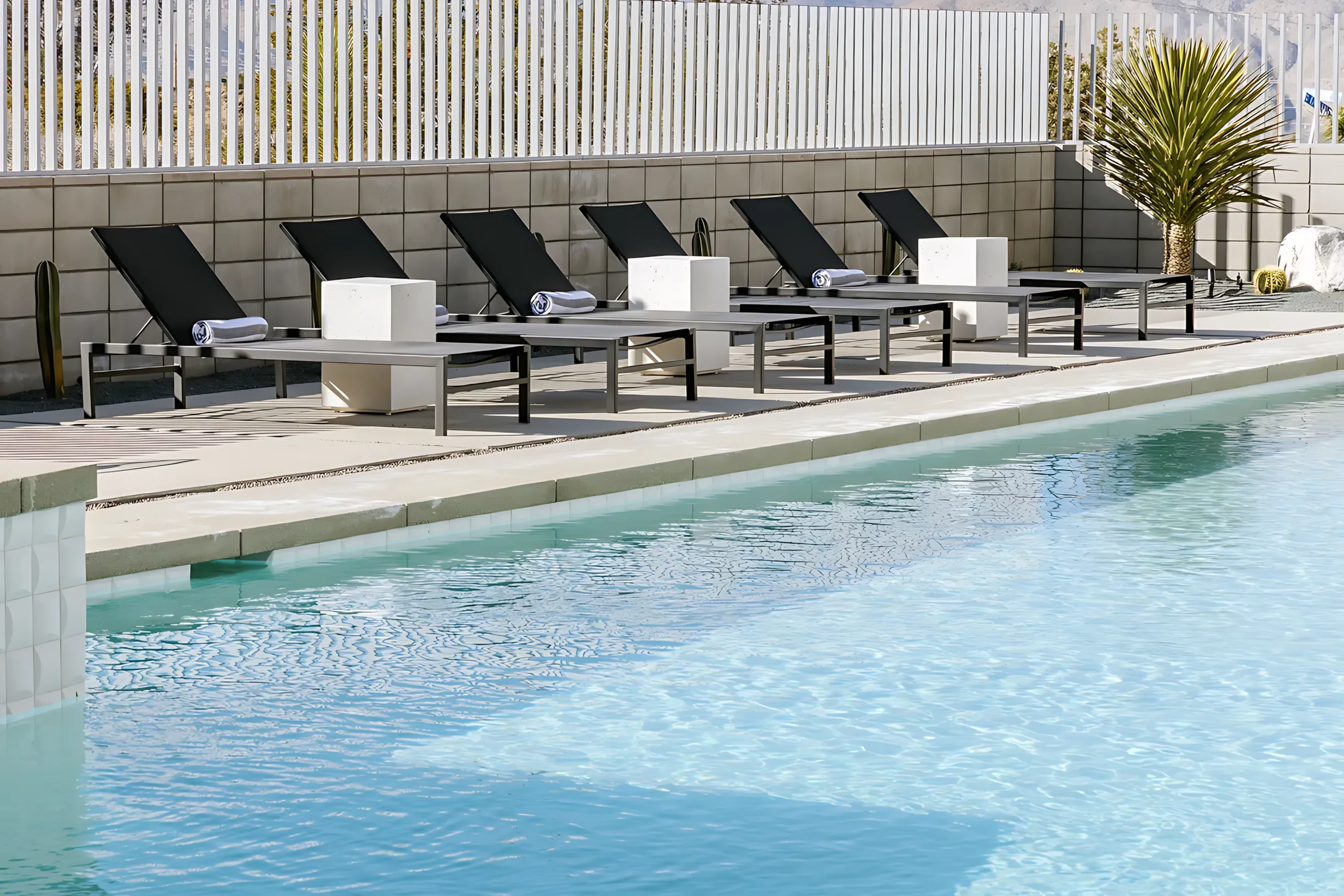 Wander Joshua Tree Vanguard #70