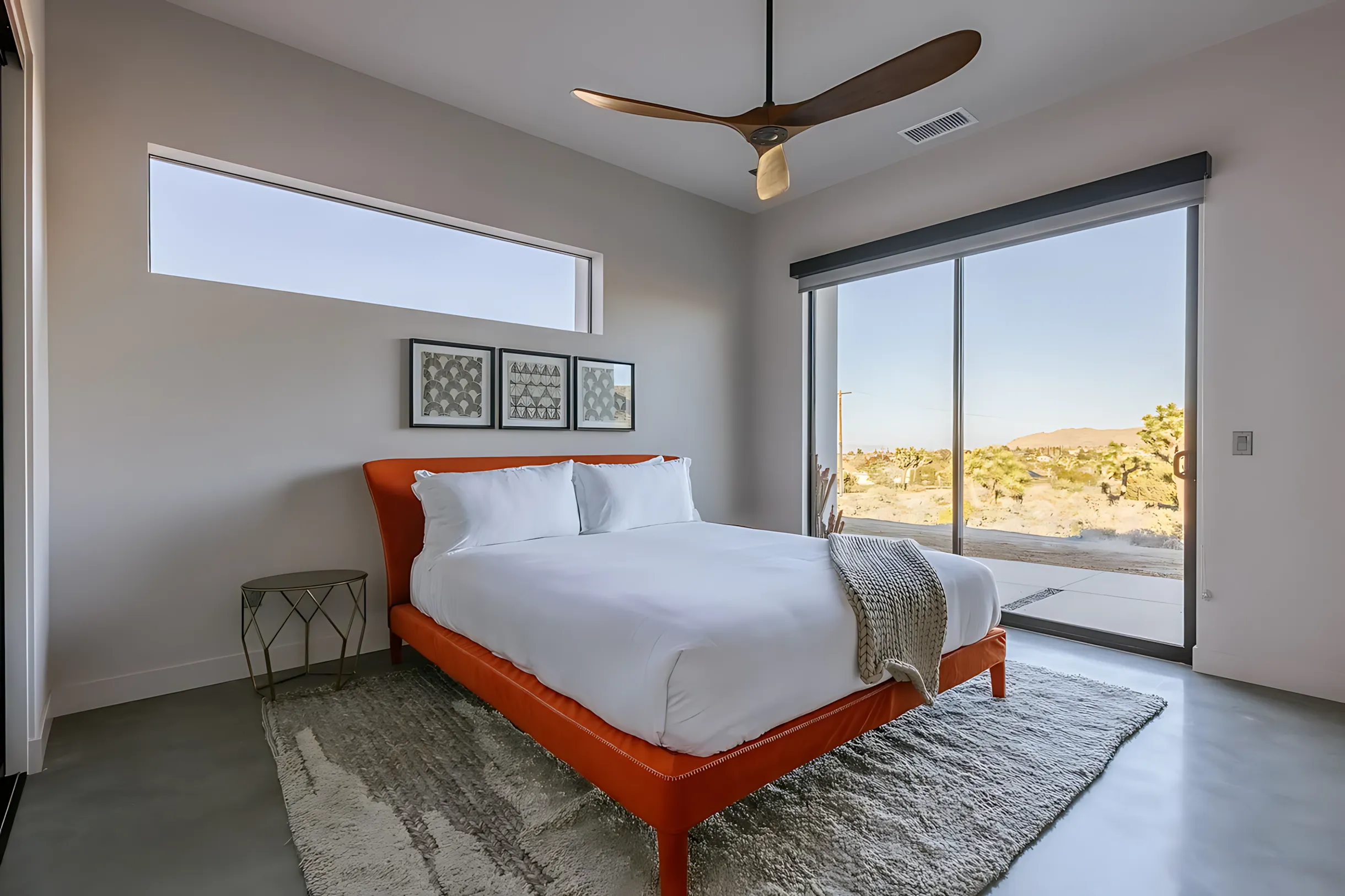 Wander Joshua Tree Vanguard #18