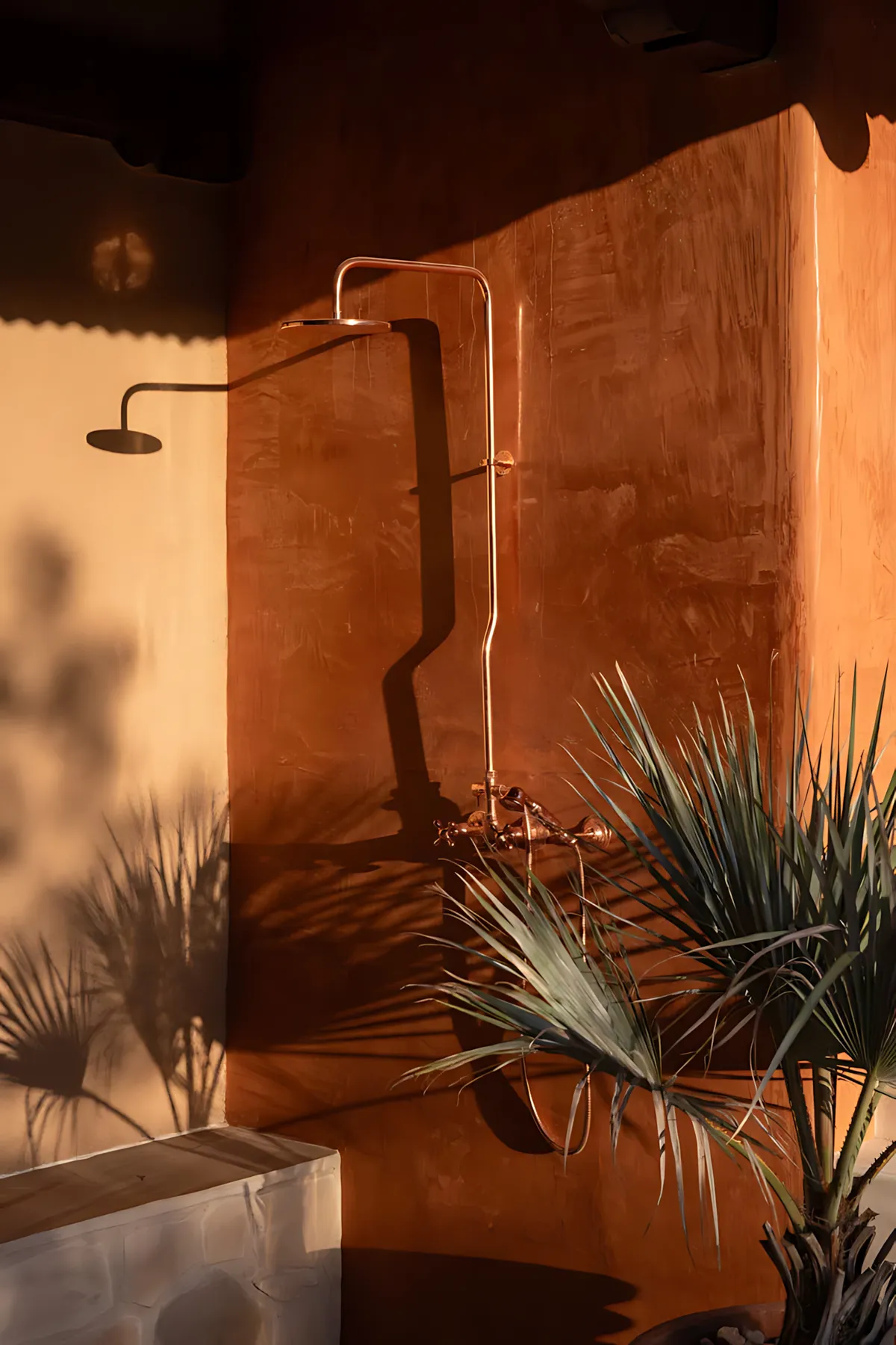 Wander Joshua Tree Ridge #55