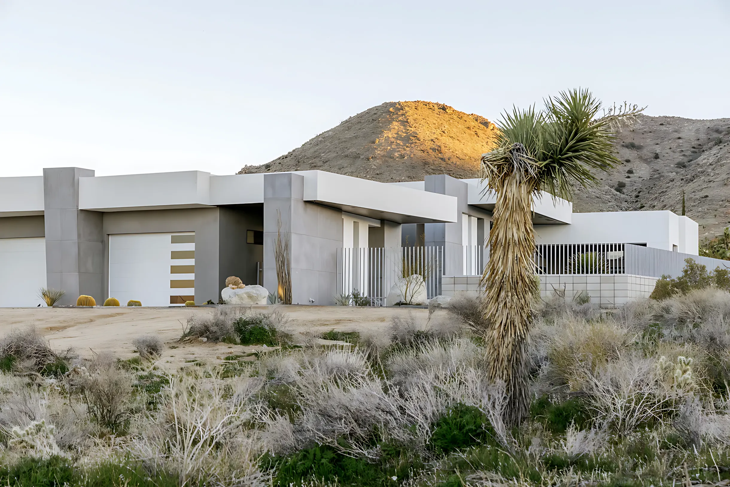 Wander Joshua Tree Vanguard #51