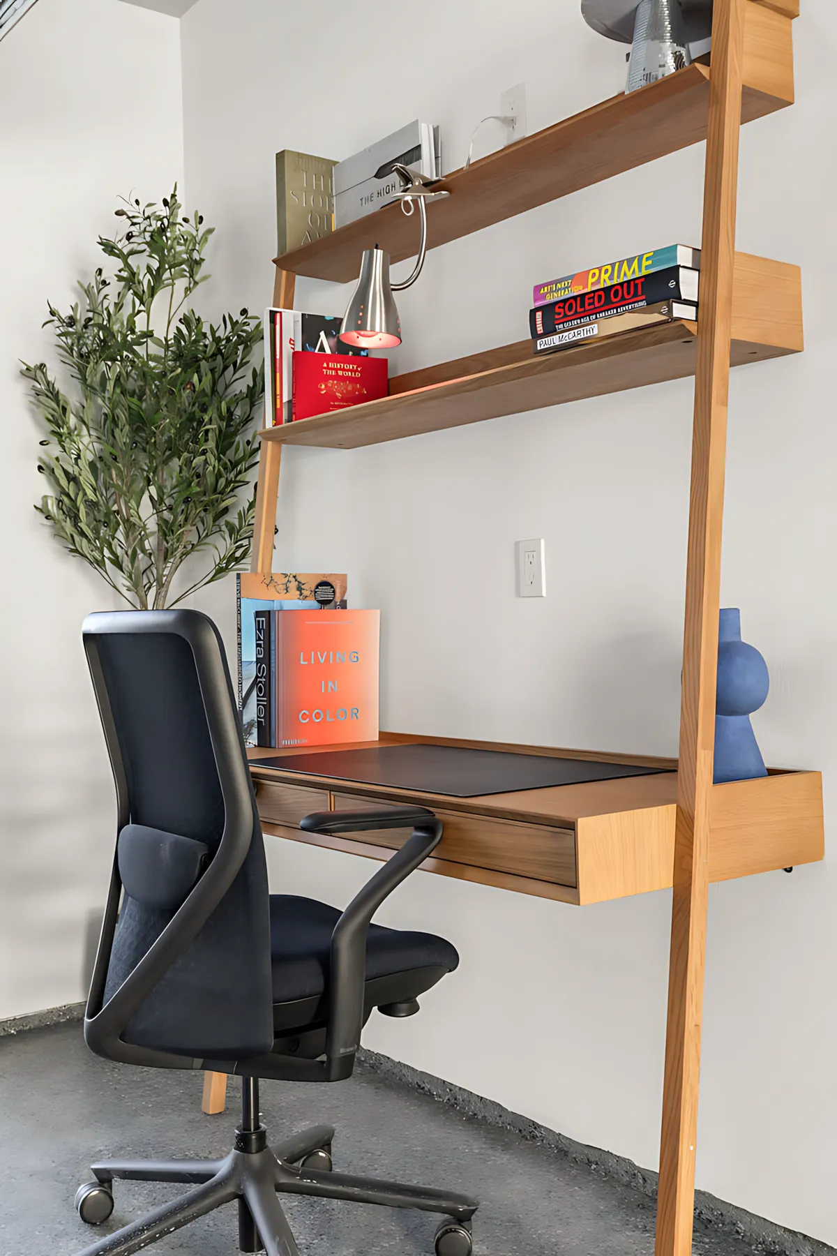 Wander Joshua Tree Cove #55