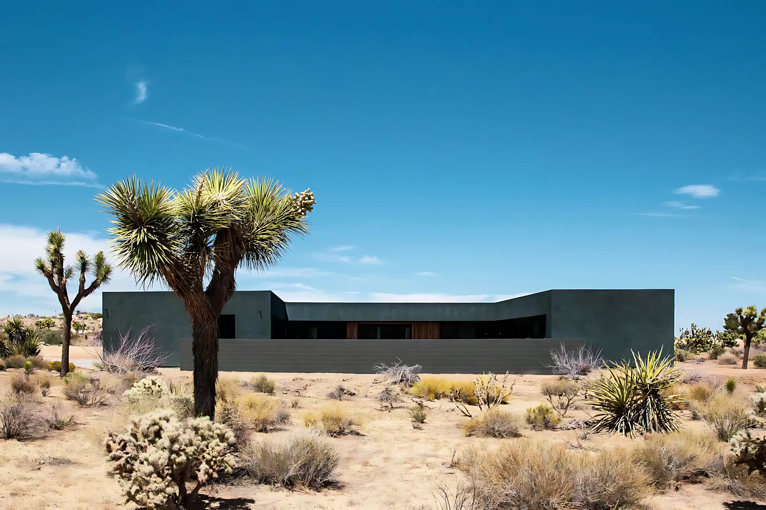 Wander Joshua Tree Modern #28