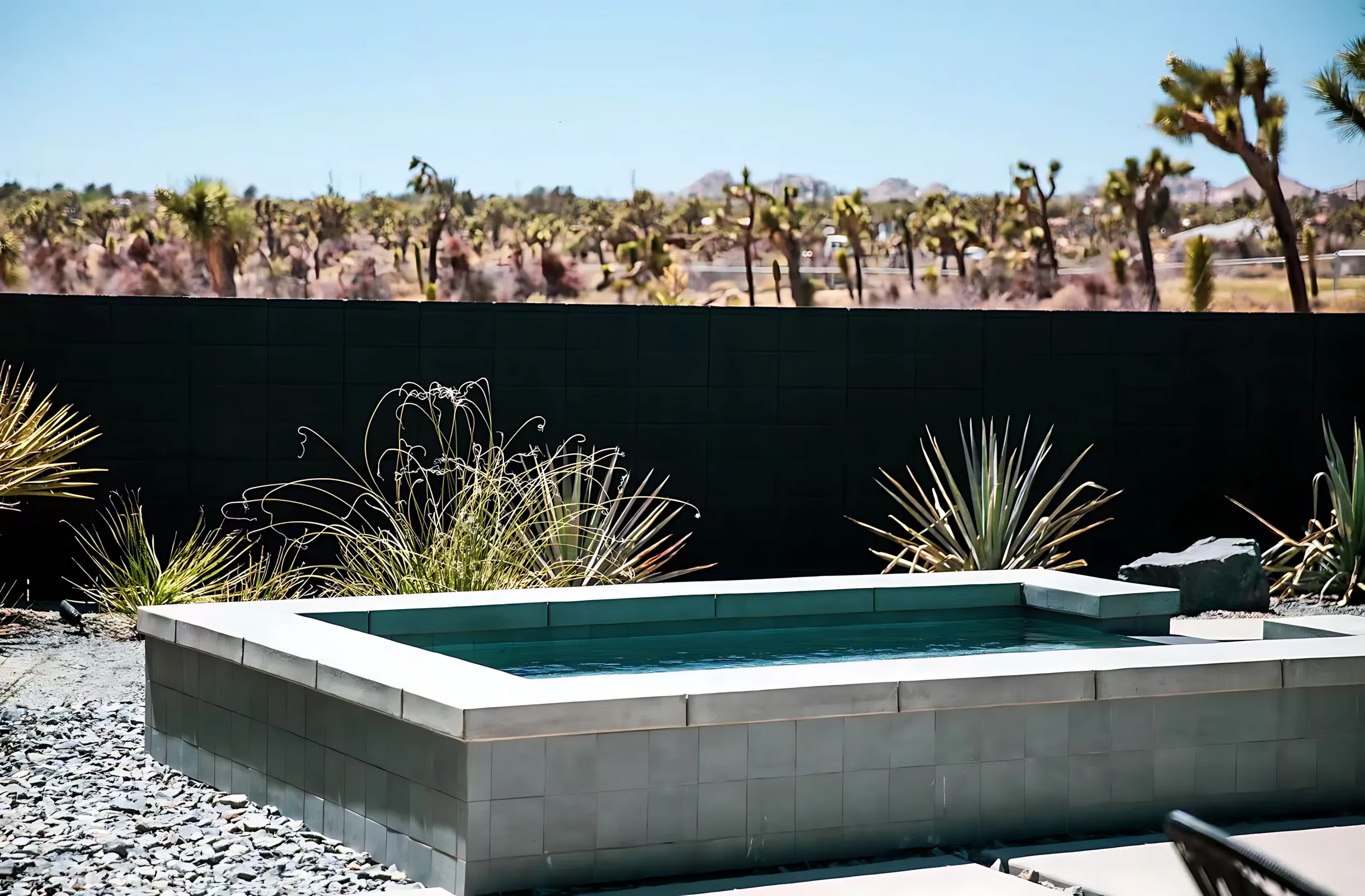 Wander Joshua Tree Modern #30