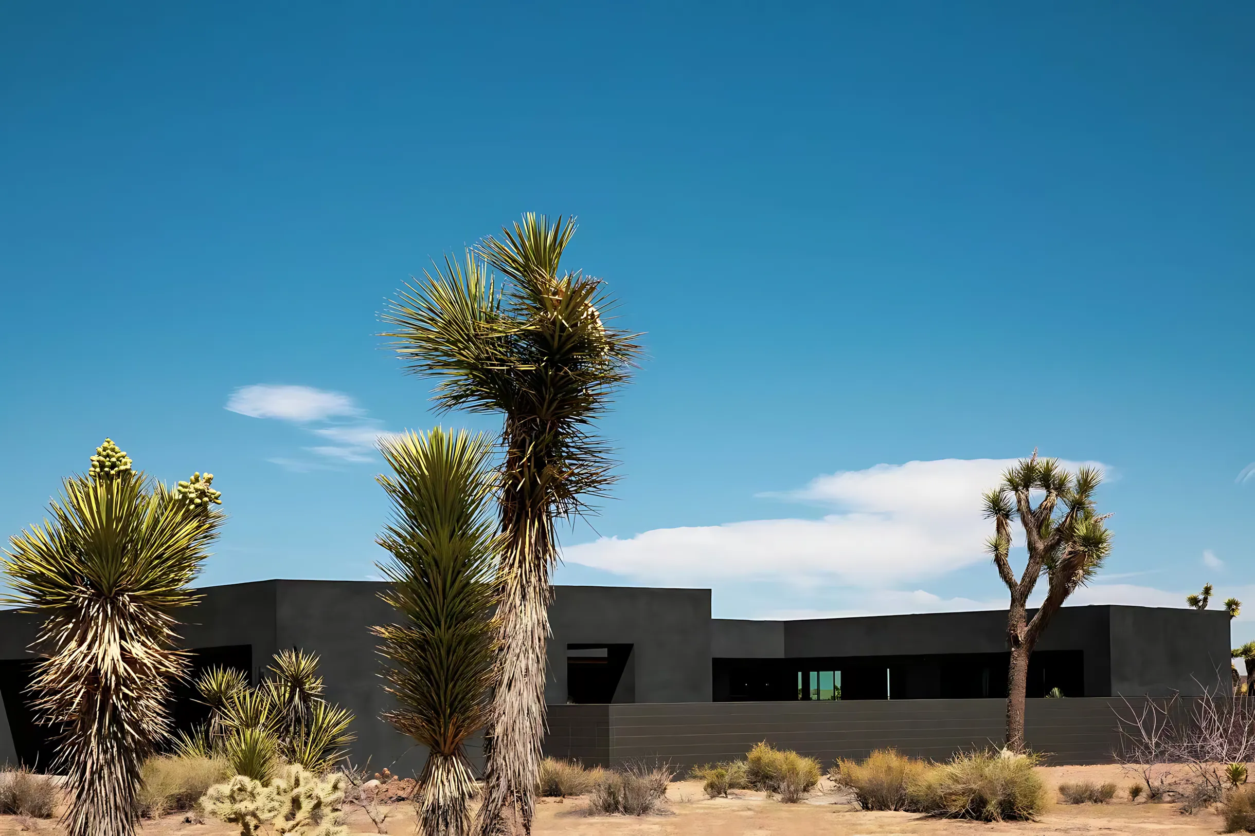 Wander Joshua Tree Modern #27