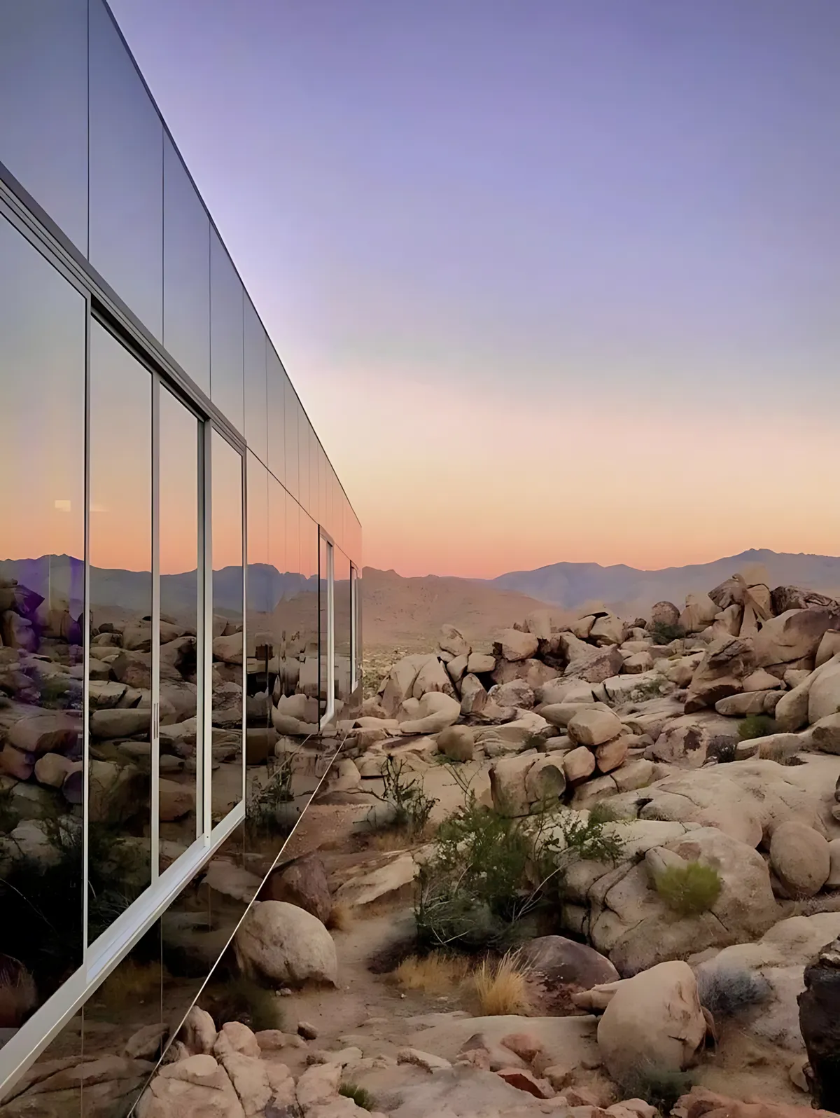 Wander Joshua Tree Glass #39