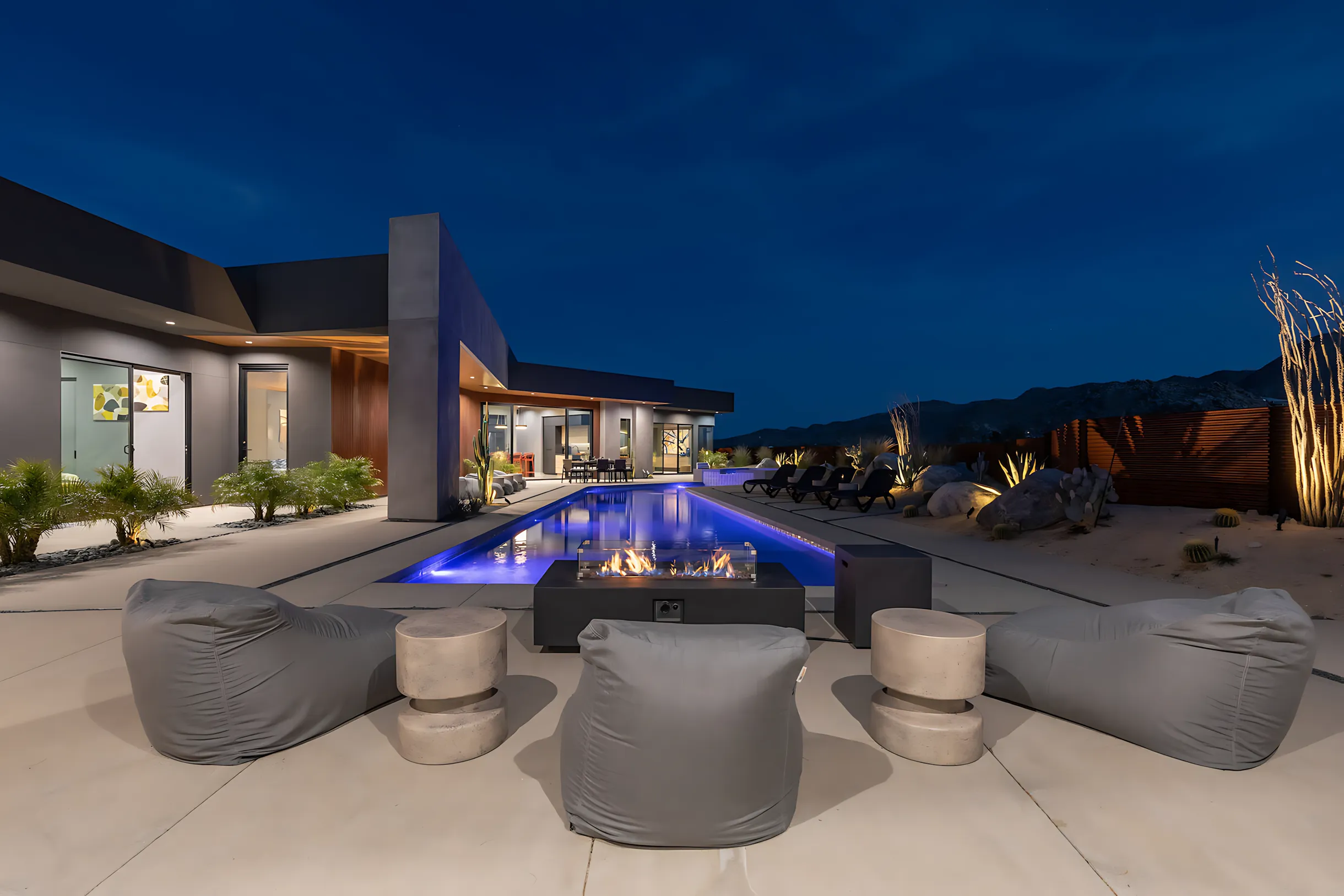 Wander Joshua Tree Cactus #50