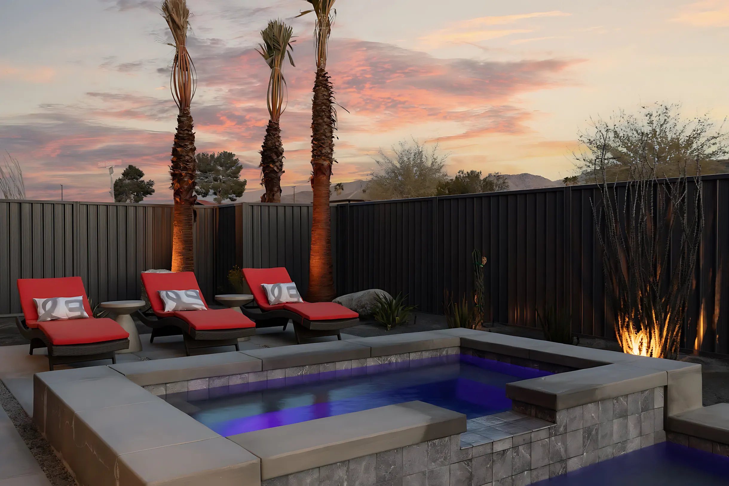 Wander Joshua Tree Zenith #20