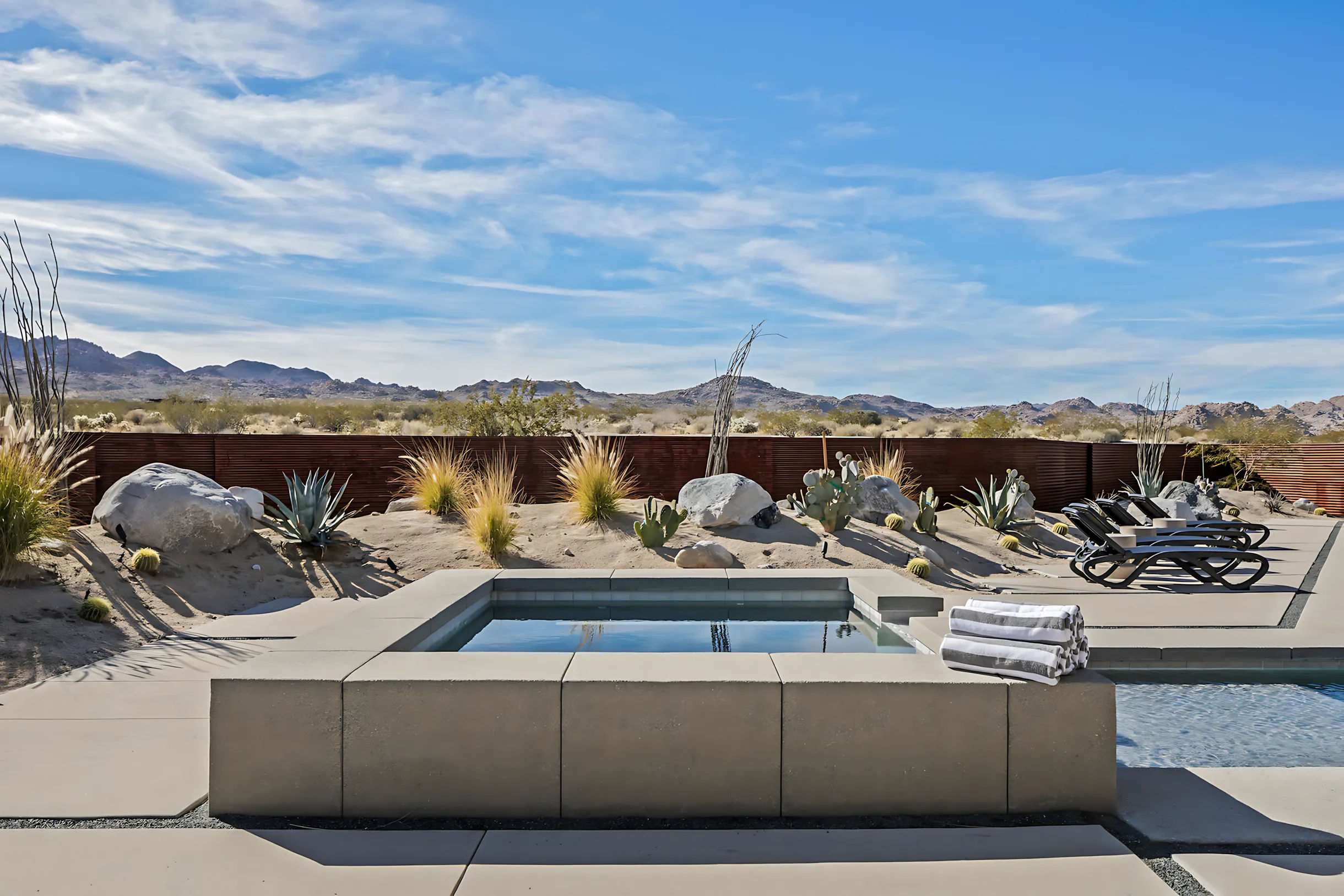 Wander Joshua Tree Cactus #34