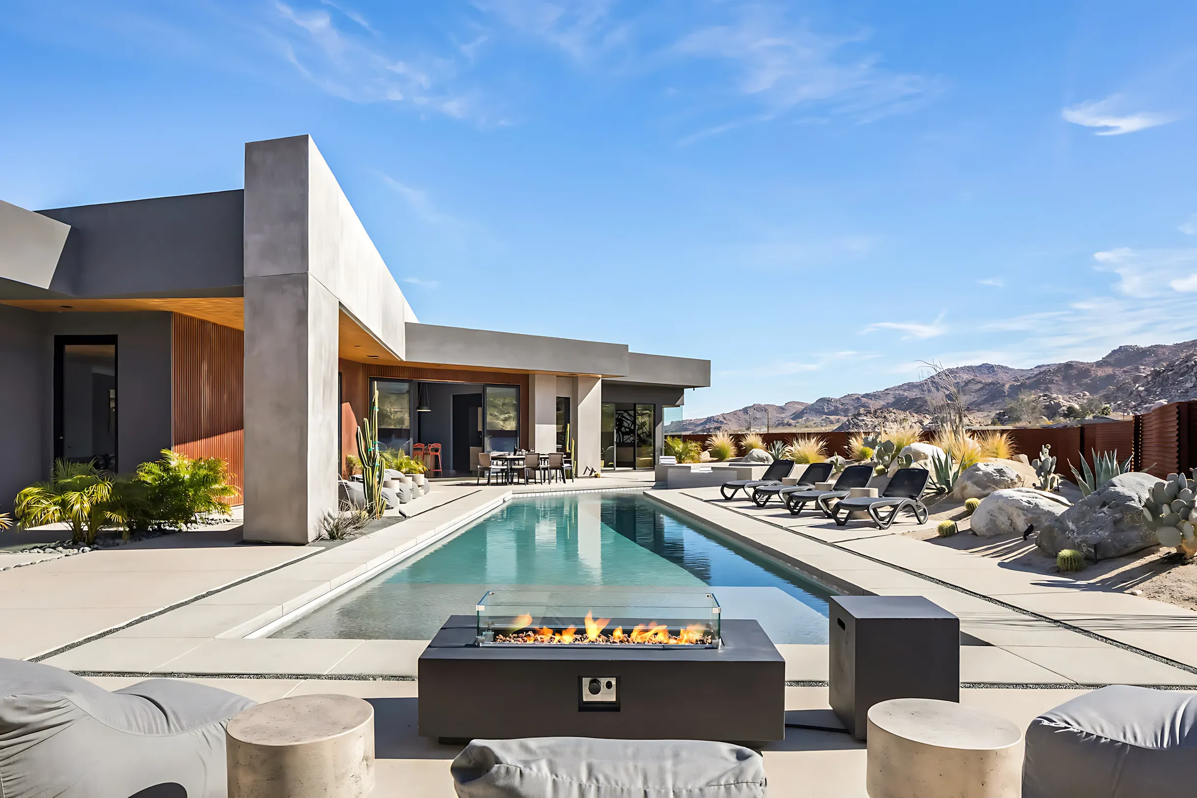 Wander Joshua Tree Cactus #54