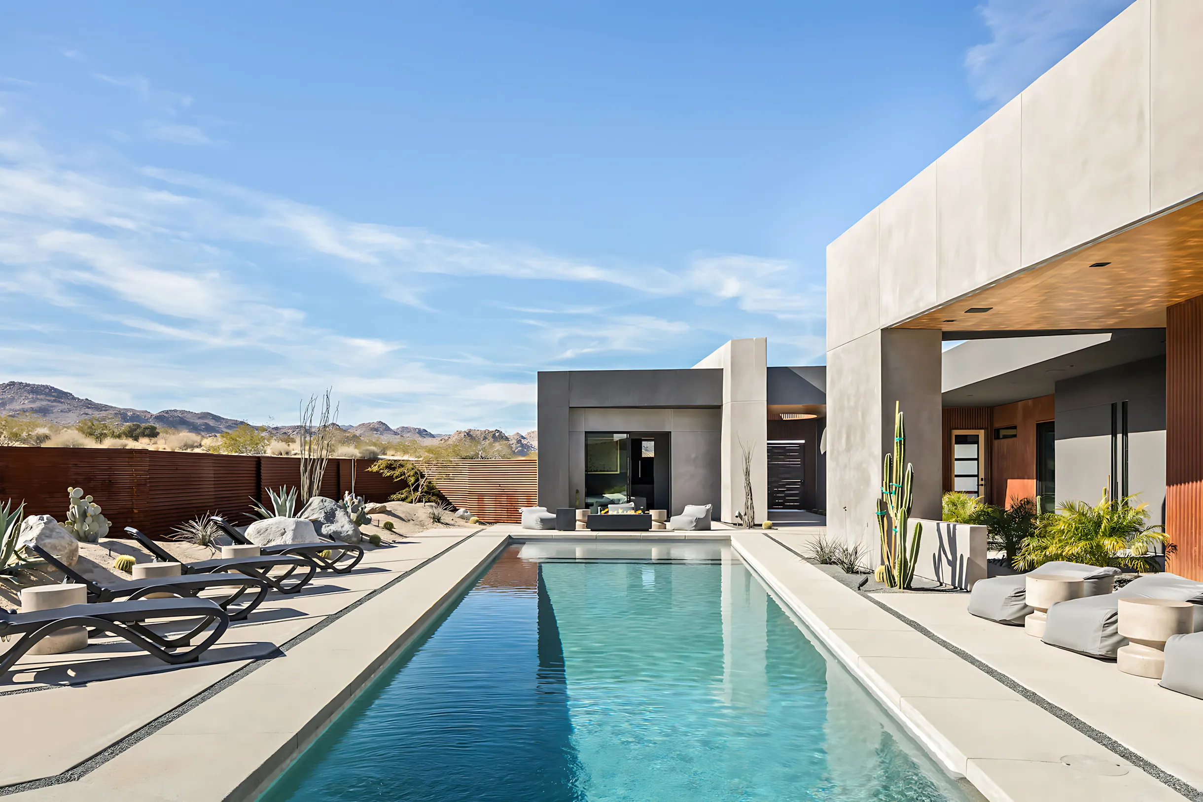 Wander Joshua Tree Cactus #61