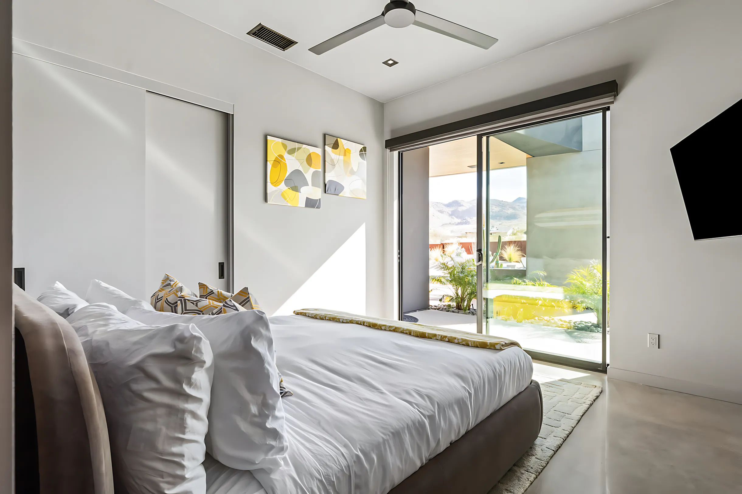 Wander Joshua Tree Cactus #25