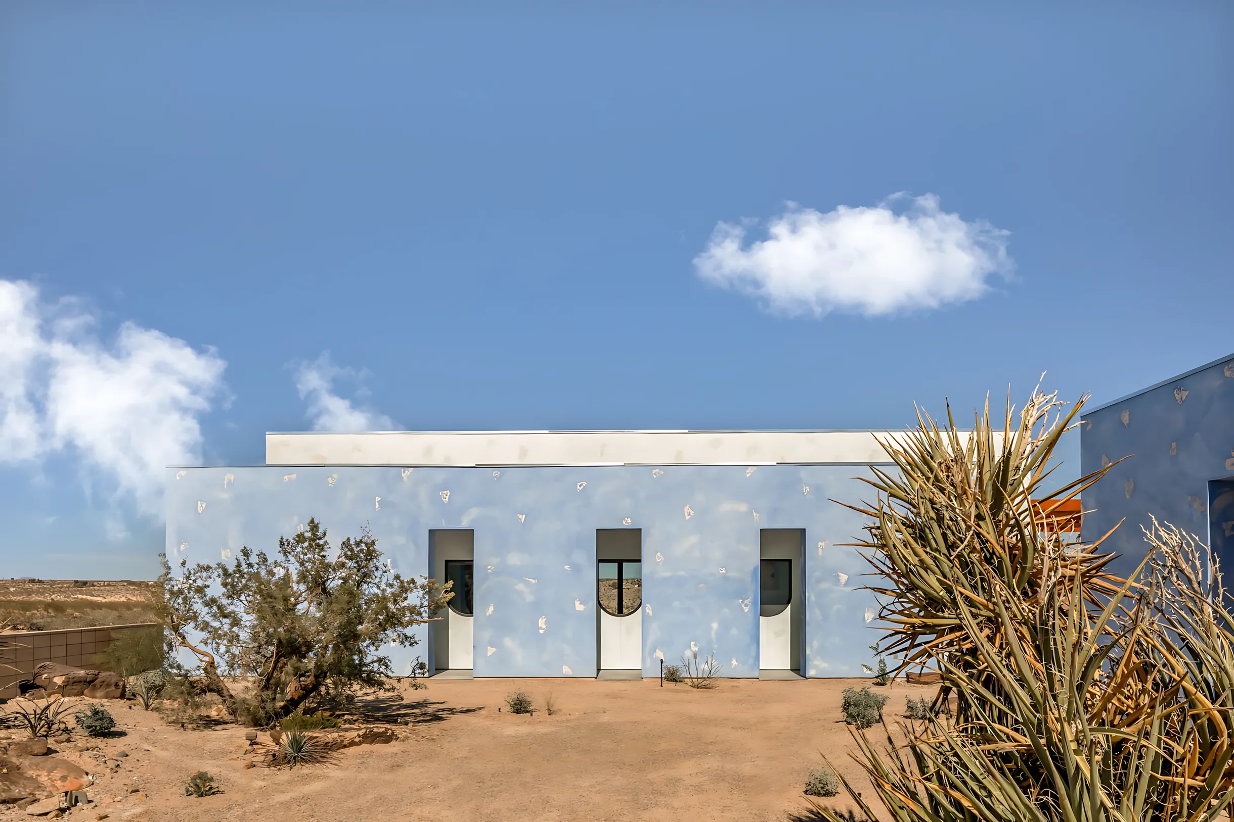 Wander Joshua Tree Azure #48