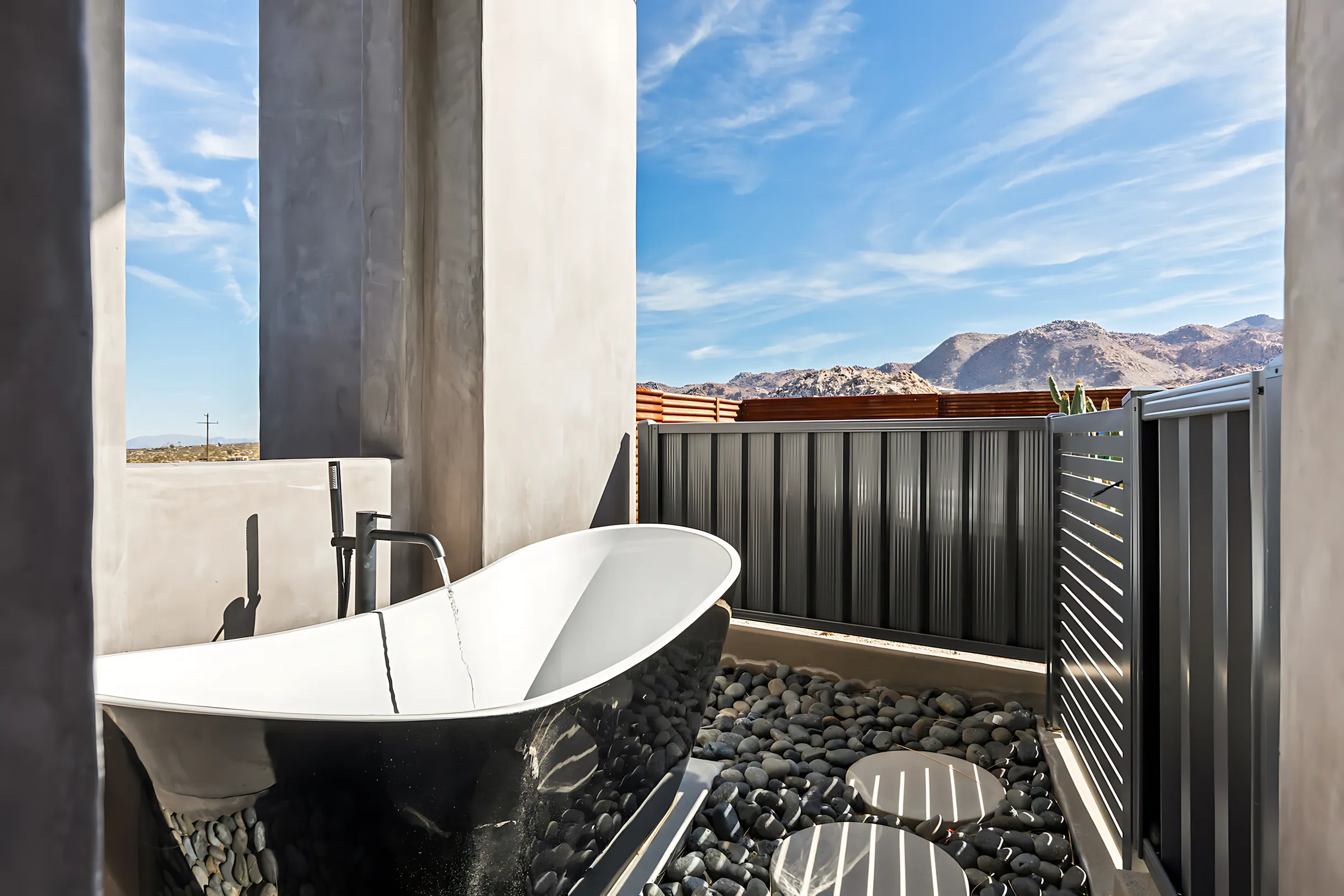 Wander Joshua Tree Cactus #38