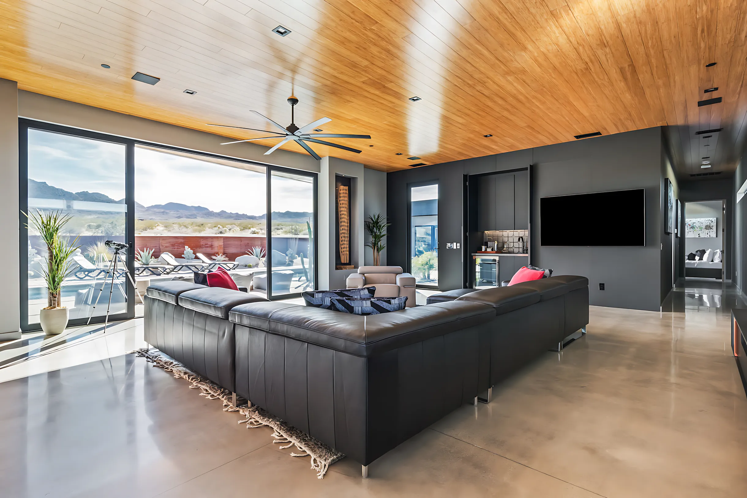 Wander Joshua Tree Cactus #40