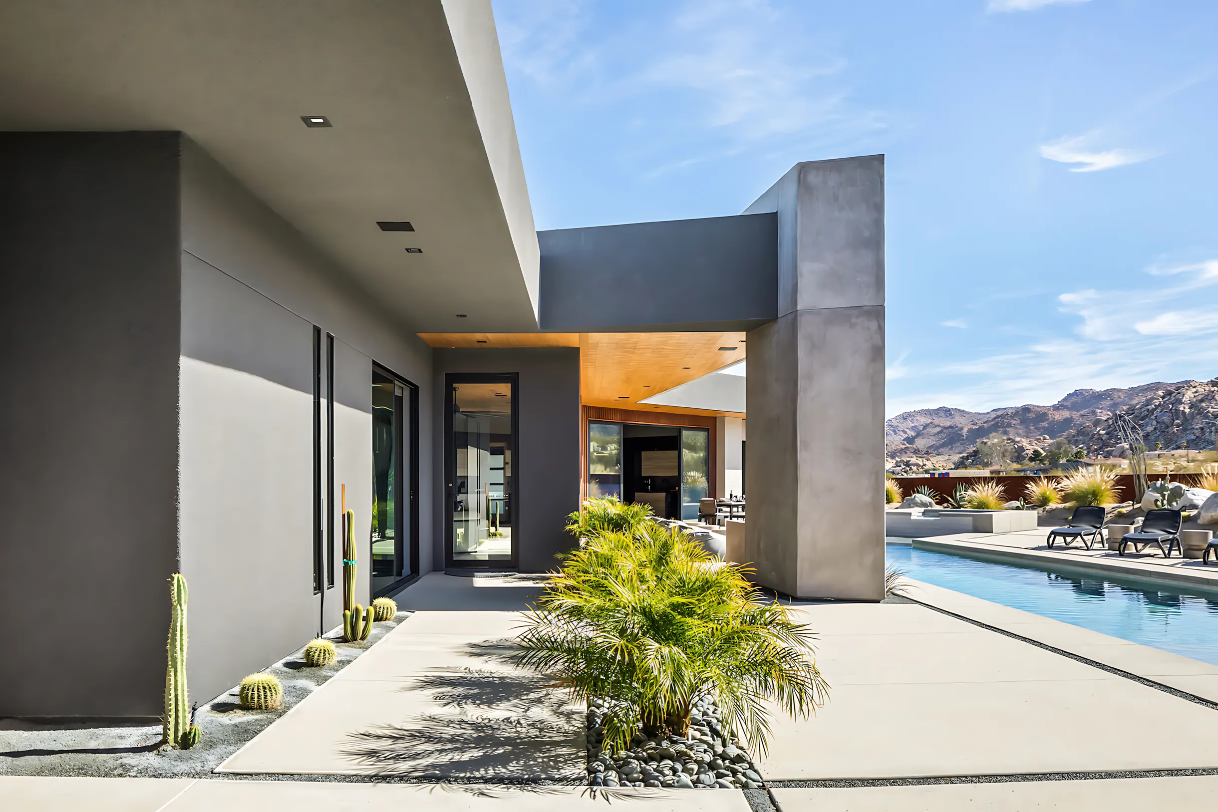 Wander Joshua Tree Cactus #41