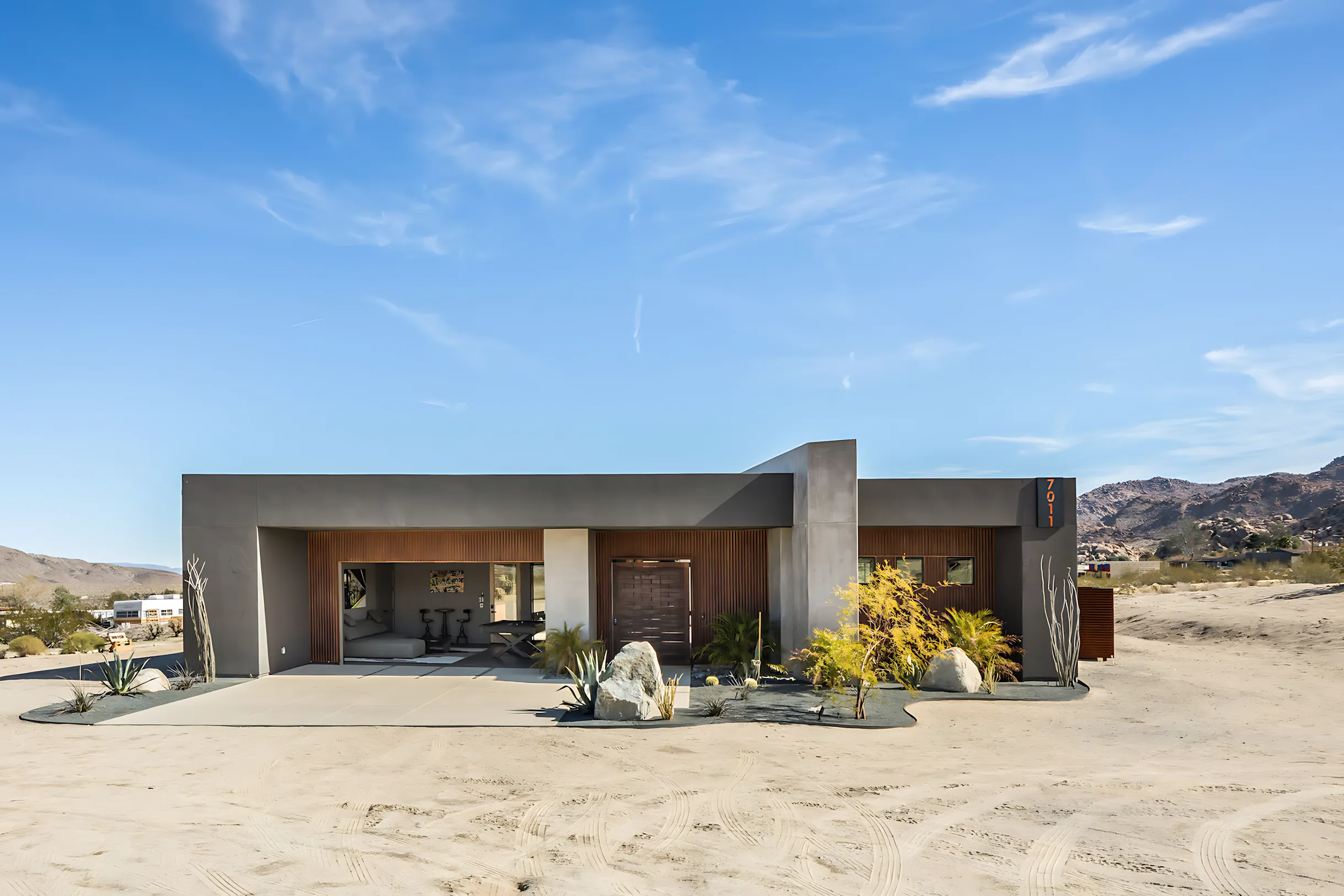 Wander Joshua Tree Cactus #49