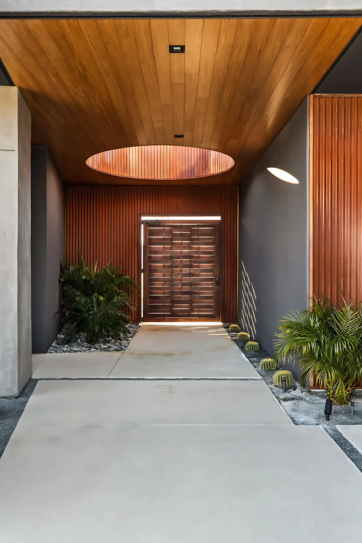 Wander Joshua Tree Cactus #52