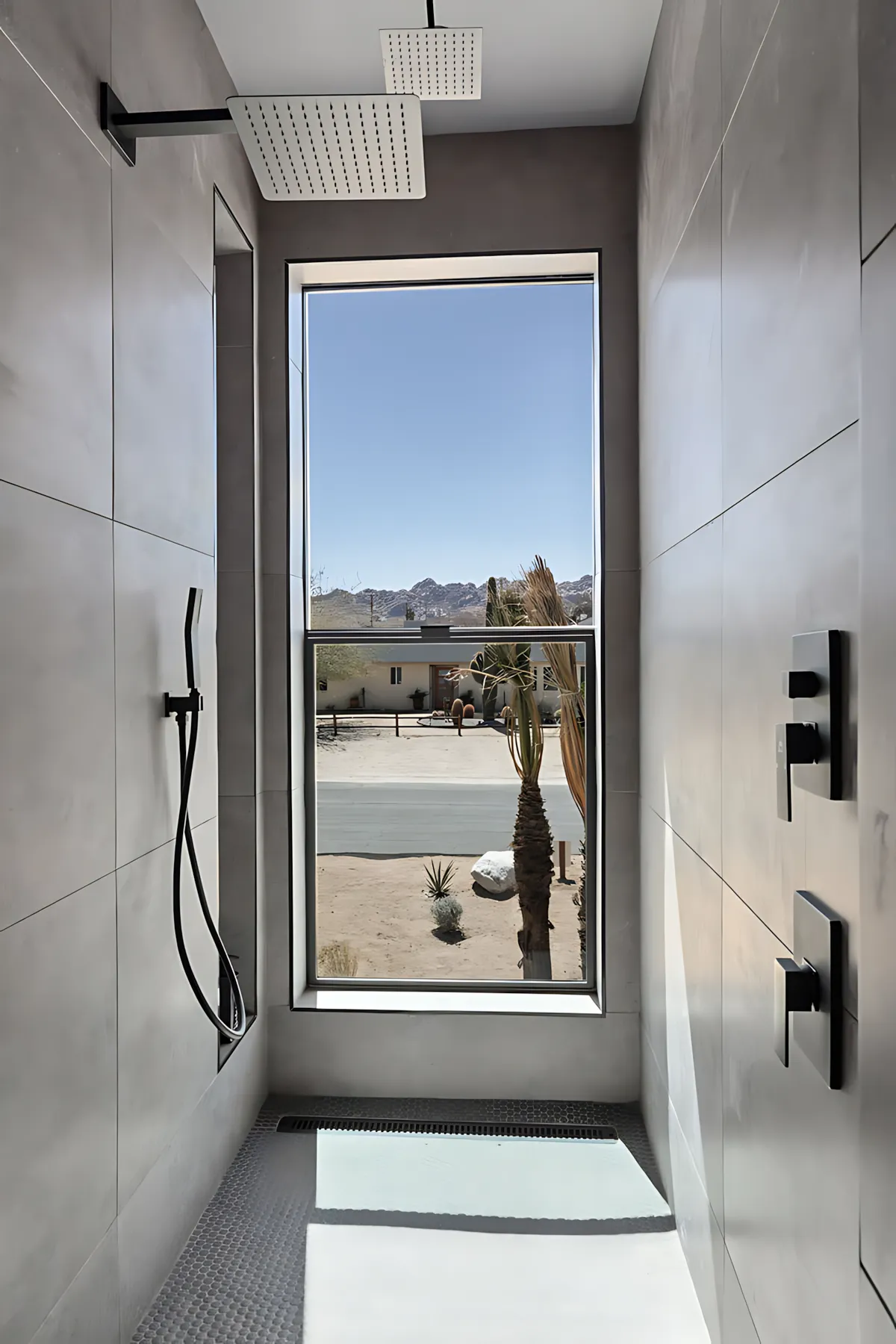 Wander Joshua Tree Zenith #31