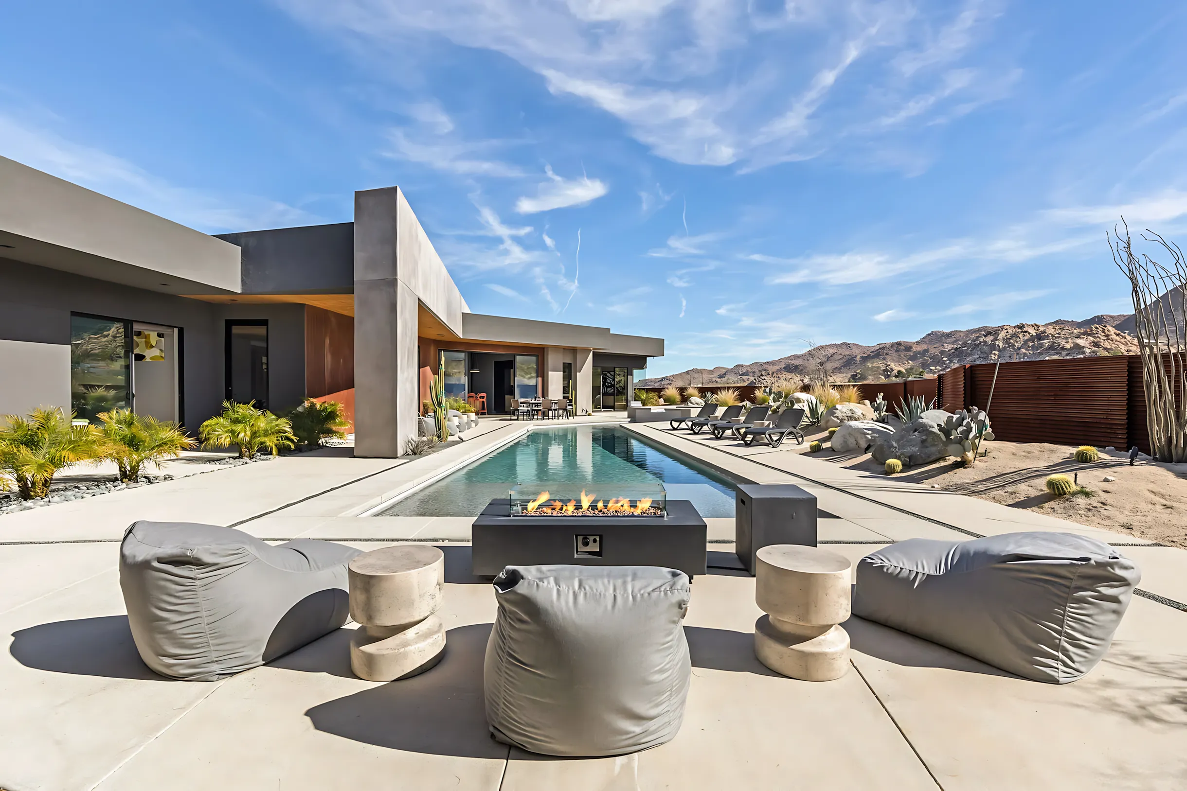 Wander Joshua Tree Cactus #53