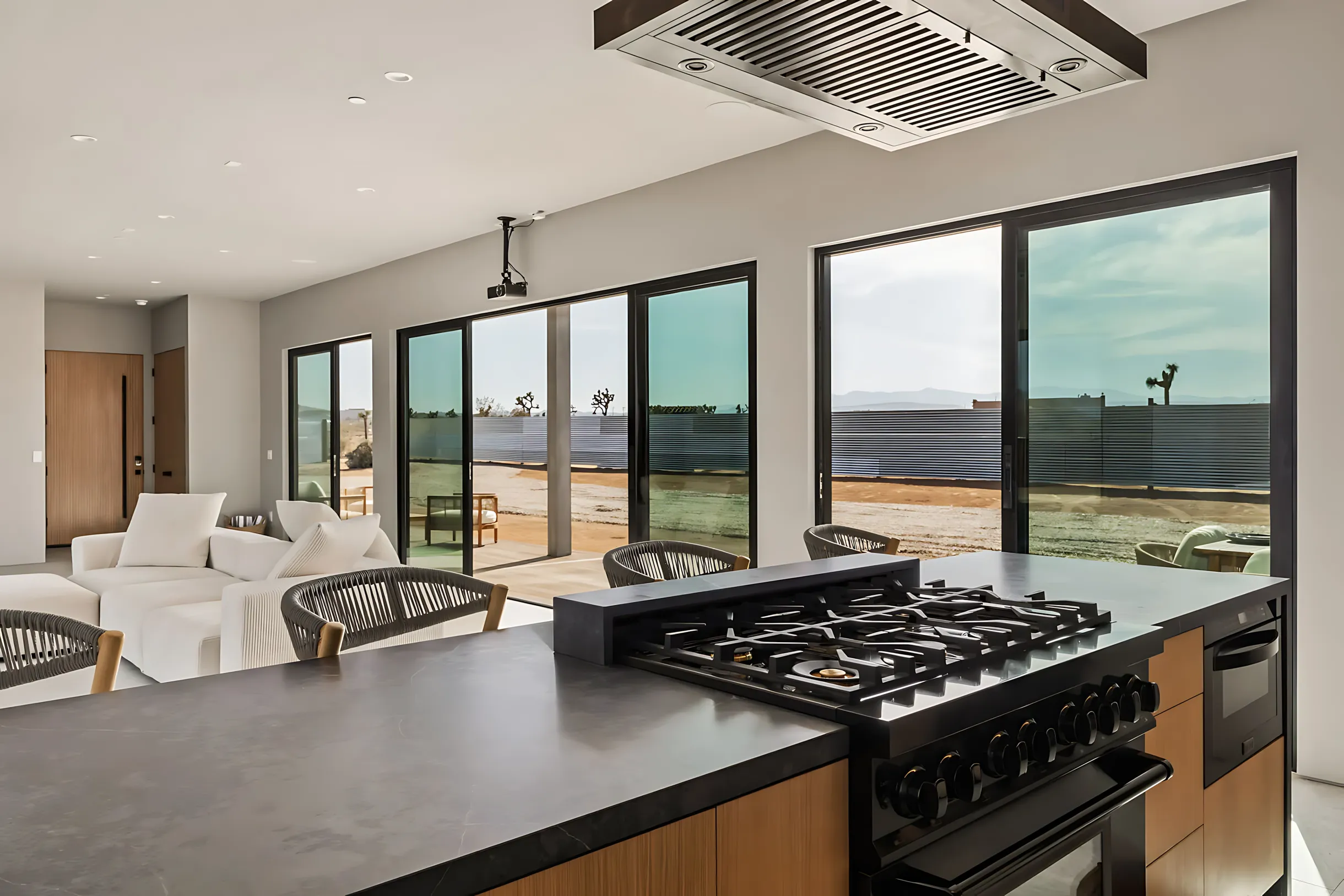 Wander Joshua Tree Solace #18