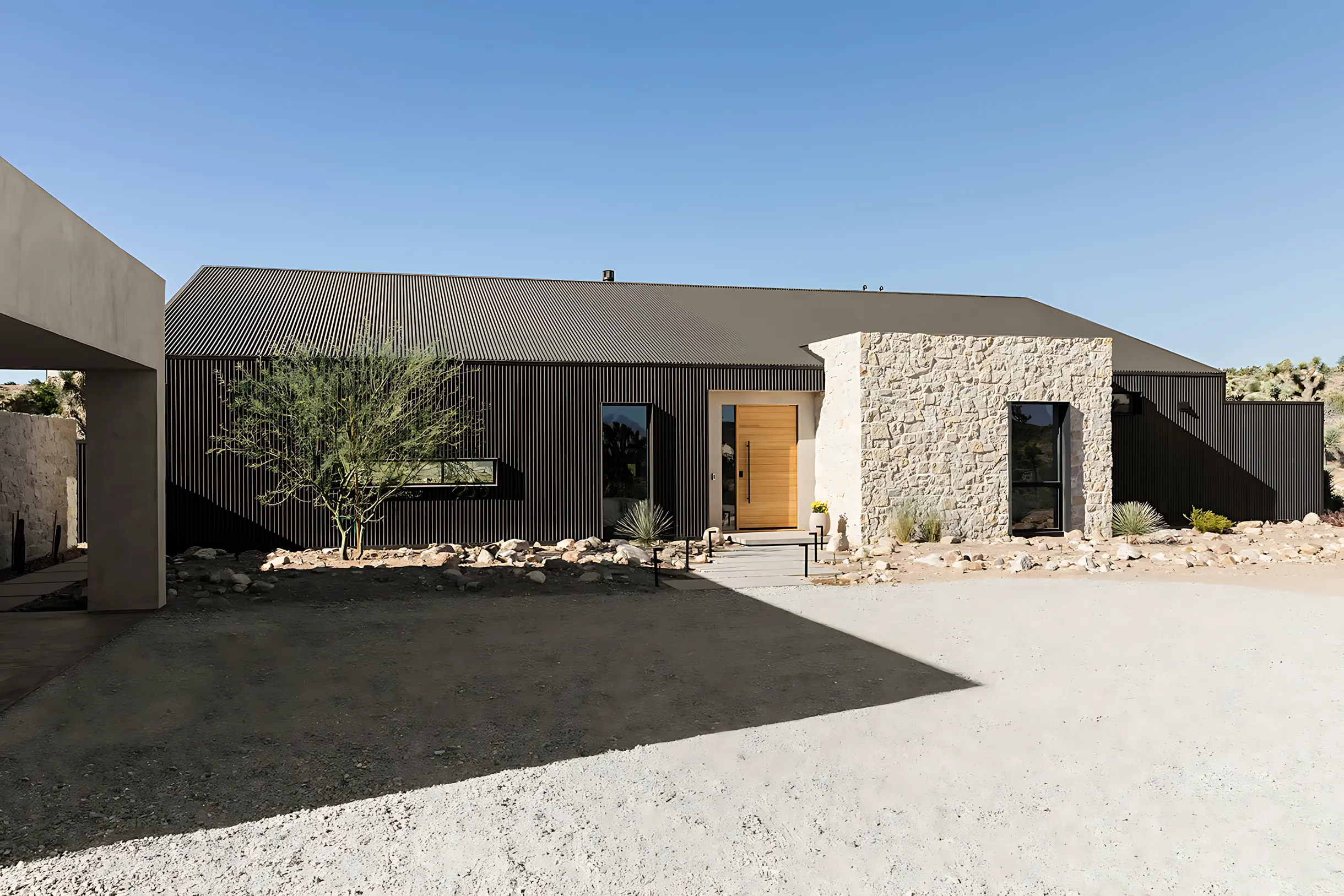Wander Joshua Tree Lotus #5