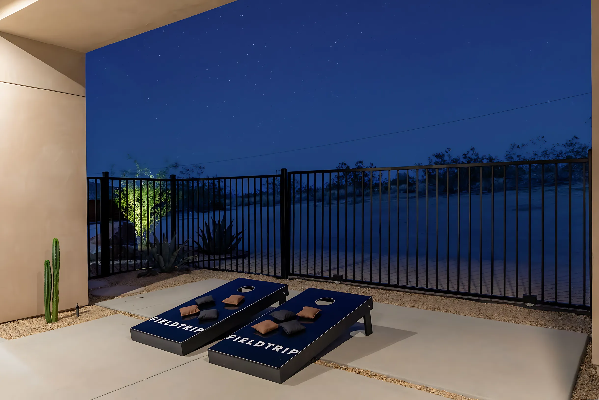 Wander Joshua Tree Pinnacle #15